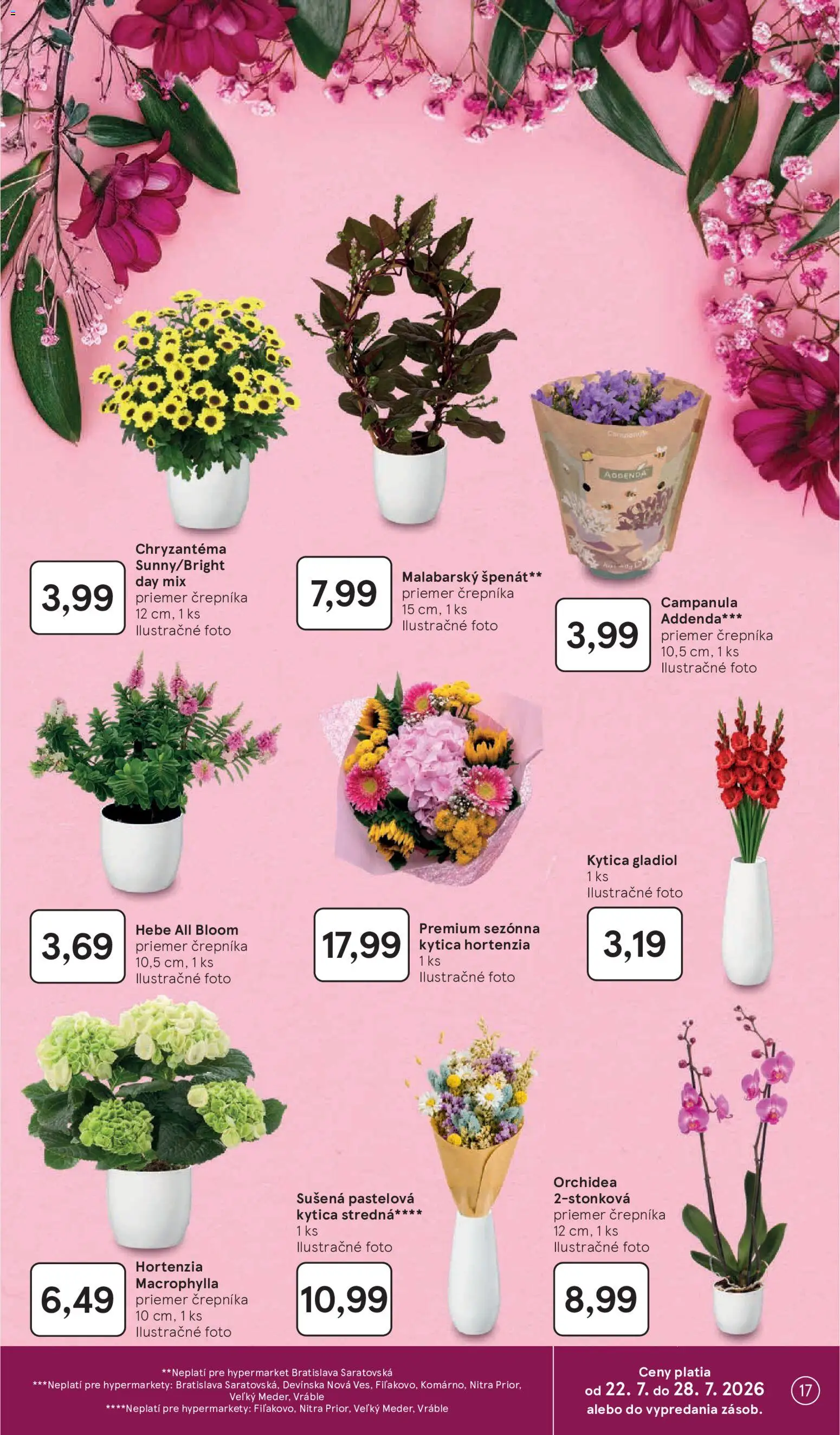 Nové Tesco akcie – leták je platný od 22.07.2026 | Strana: 17 | Produkty: Orchidea, Špenát