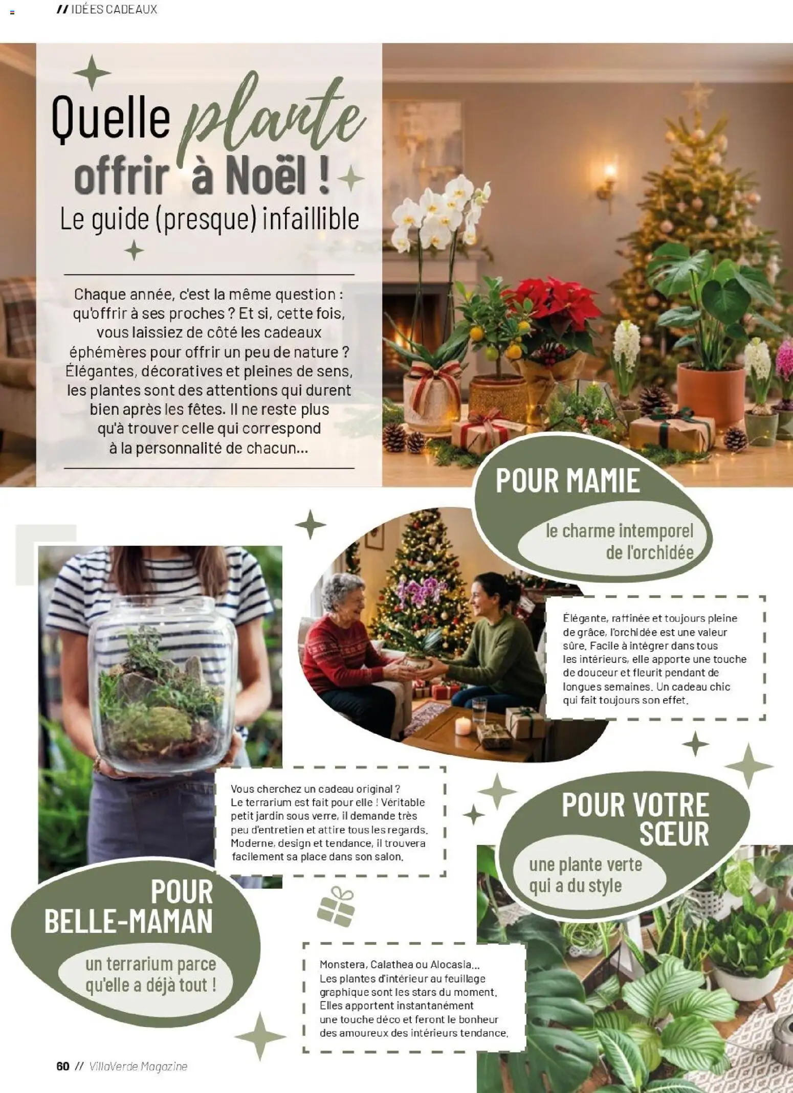 {H1} | Page: 60 | Produits: Calathea, L'orchidée, Plantes, Plante verte