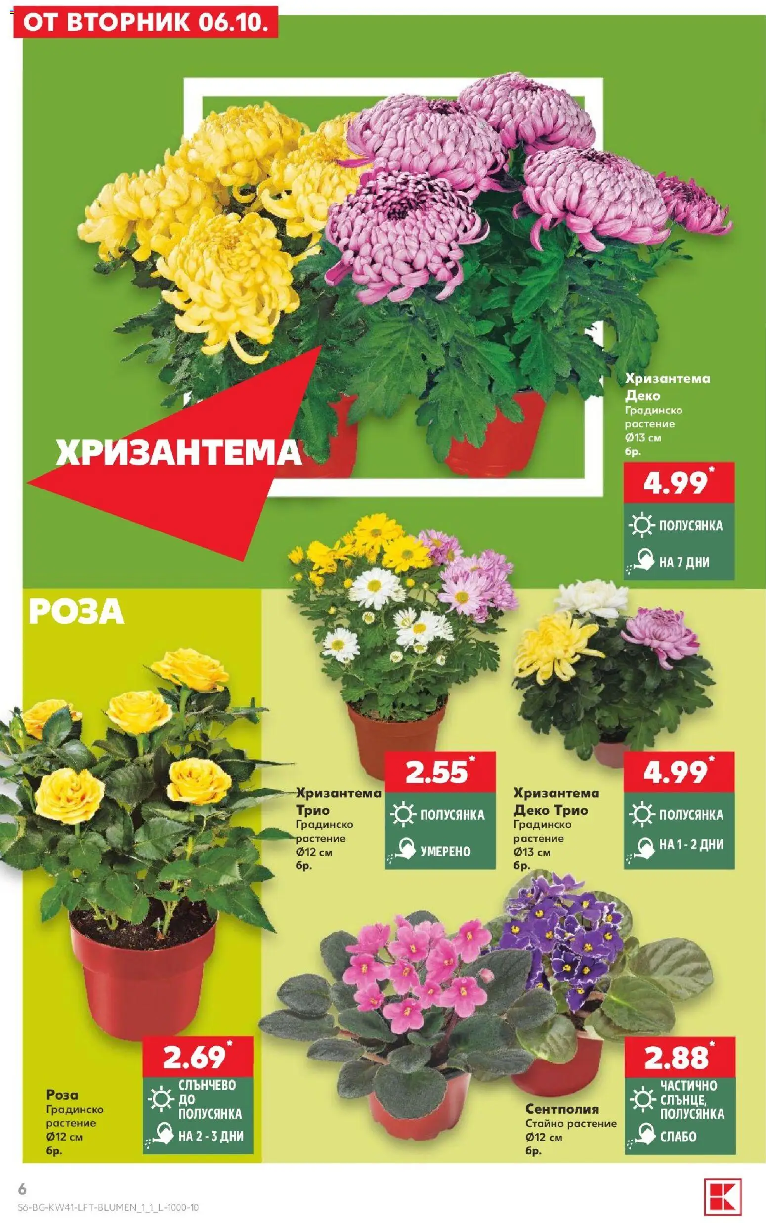 {H1} | Страница: 6 | Продукти: Хризантема, Роза