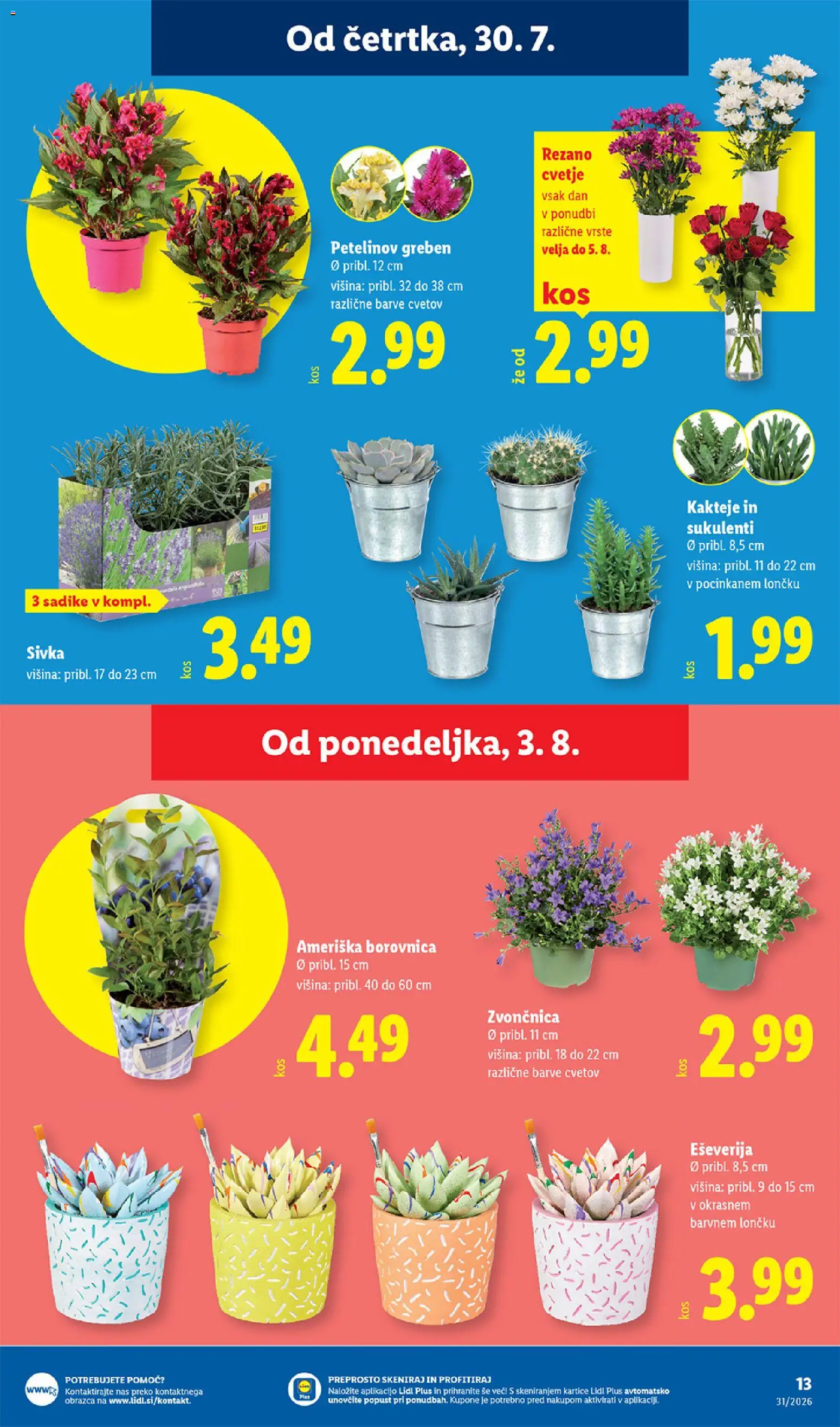 Novi Lidl katalog ponudbe – veljaven od 30.07.2026 | Stran: 27 | Izdelki: Cvetje
