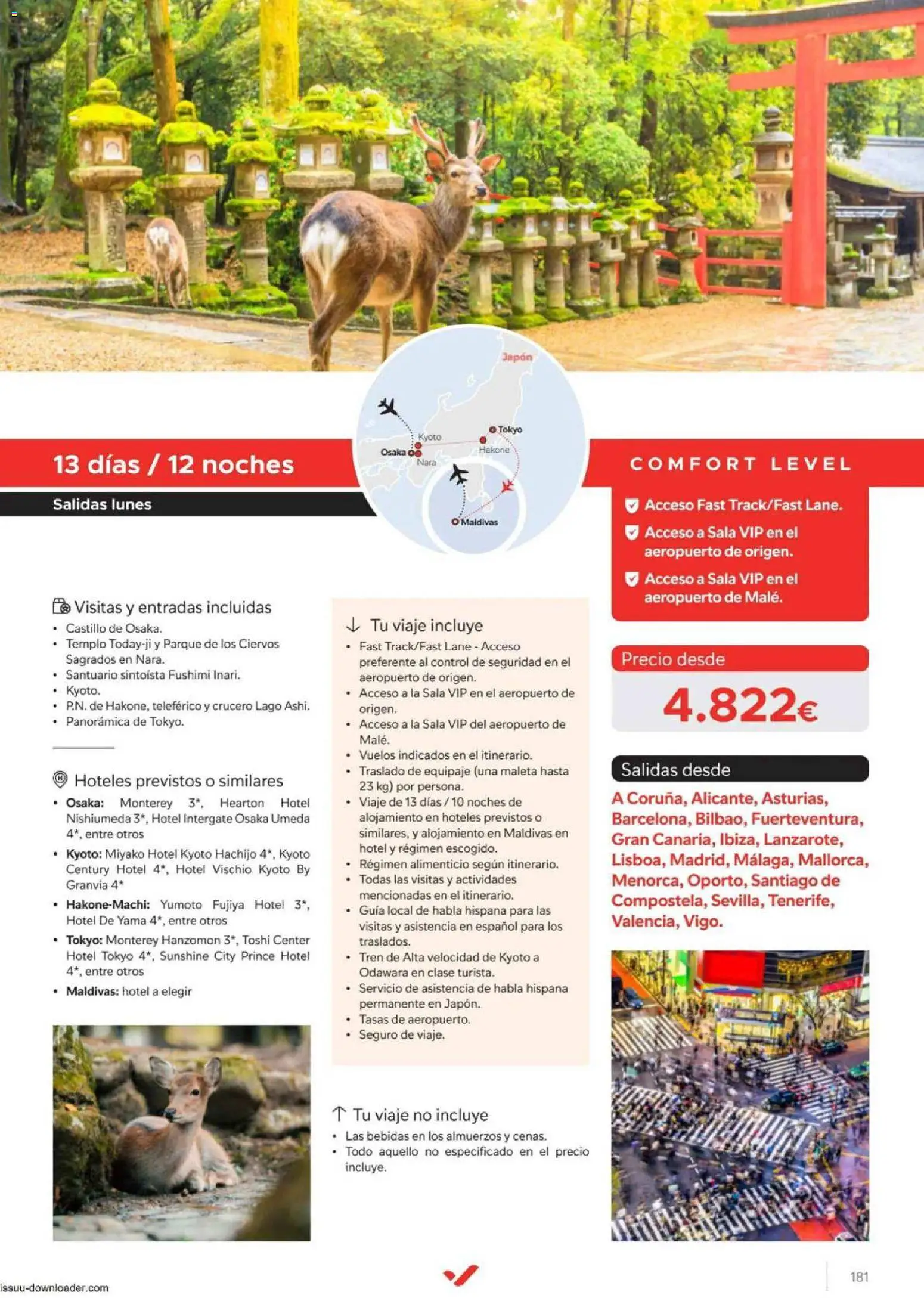 Halcón Viajes Comfort level 2026 │ válido desde el 04.06.2026 | Página: 181 | Productos: Maleta