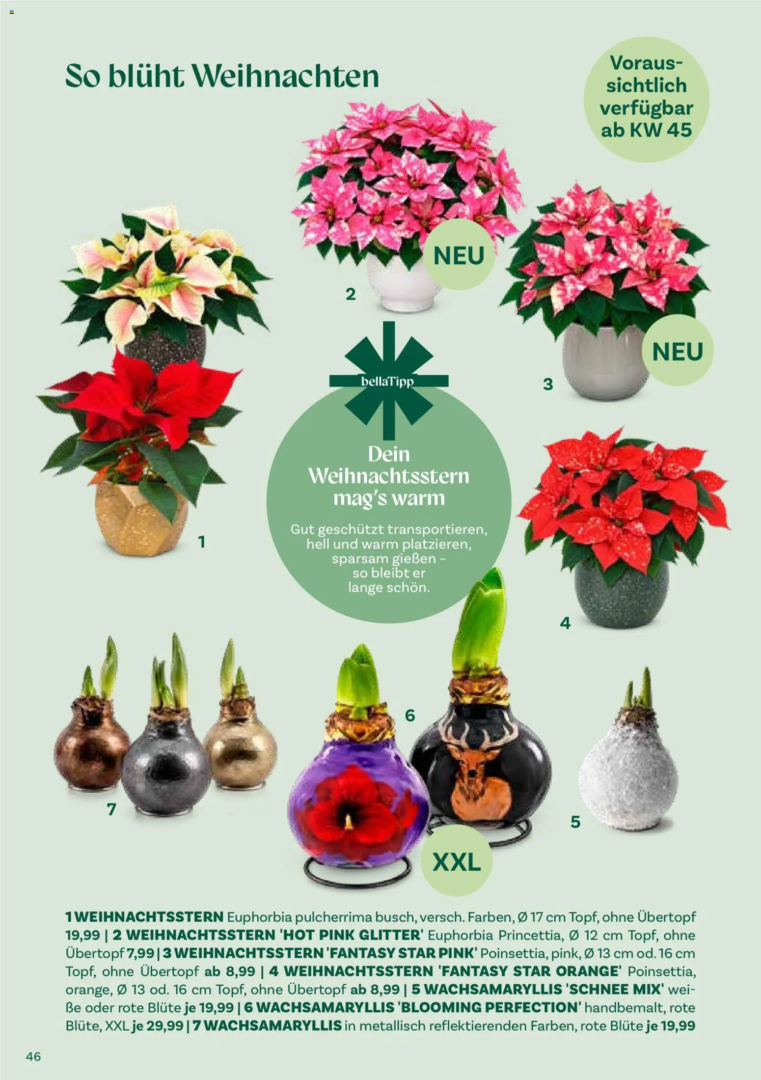 bellaflora Christmas gültig ab 06.10.2026 | Seite: 46
