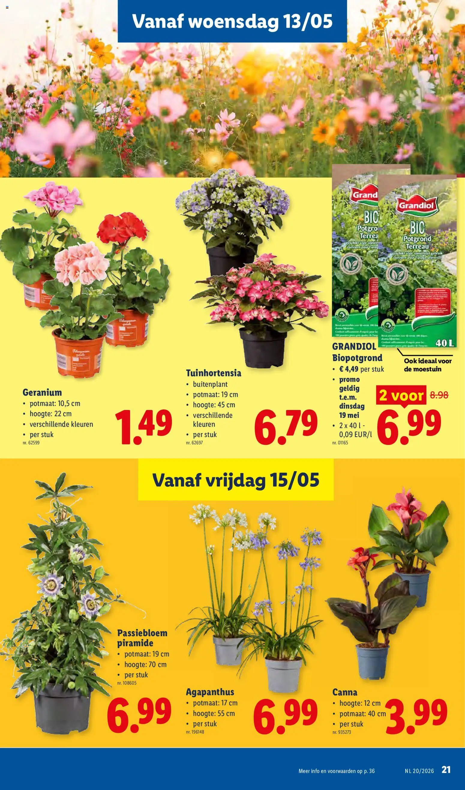 Nieuwe » Lidl folder van 11/05/2026 🤩  « is er! Ontdek geweldige aanbiedingen en bespaar. | België