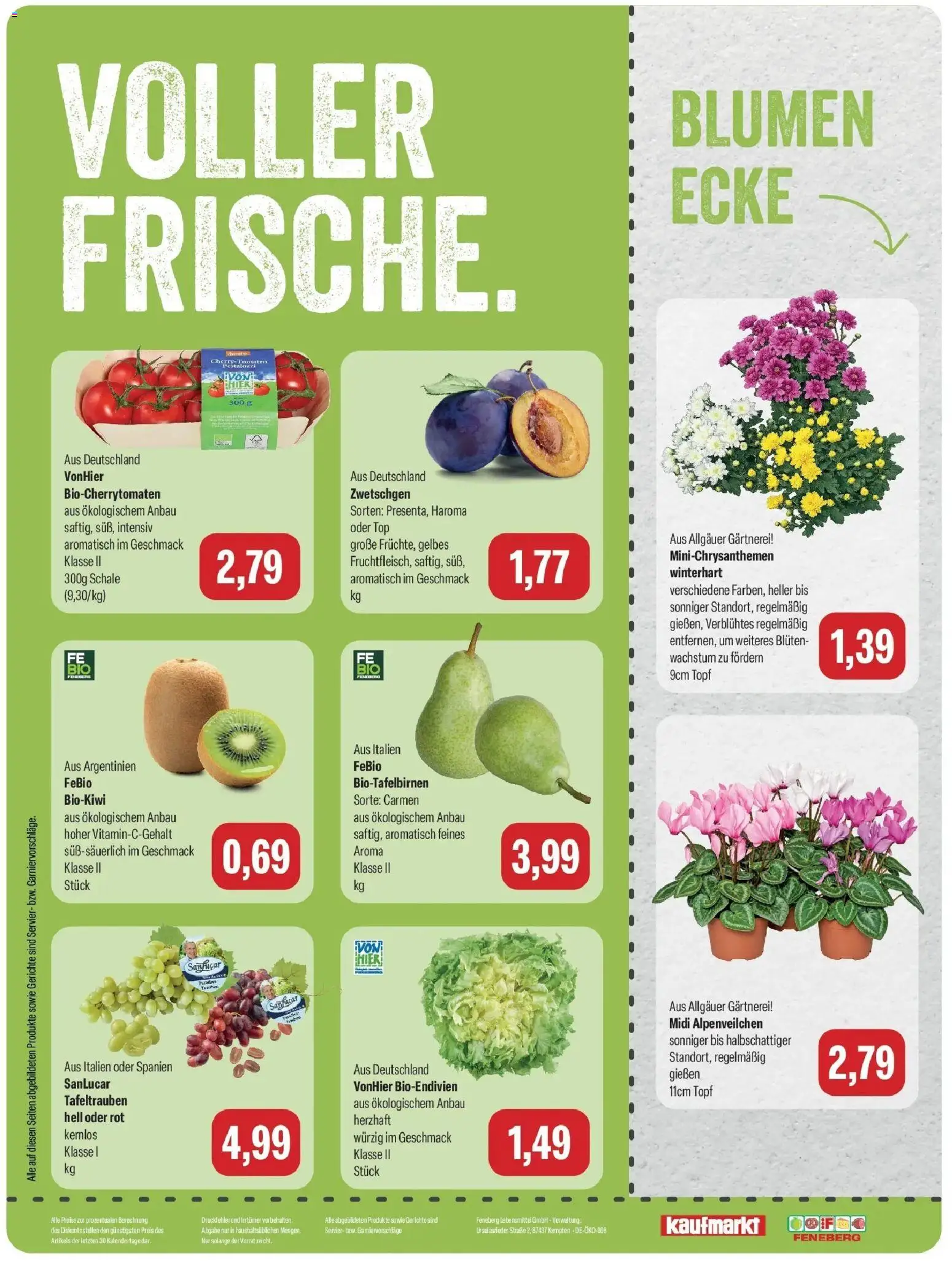 Feneberg Aktuelle Angebote (ab 10.09.2026) zum Blättern | Seite: 8 | Produkte: Top, Blumen, Zwetschgen, Gerichte