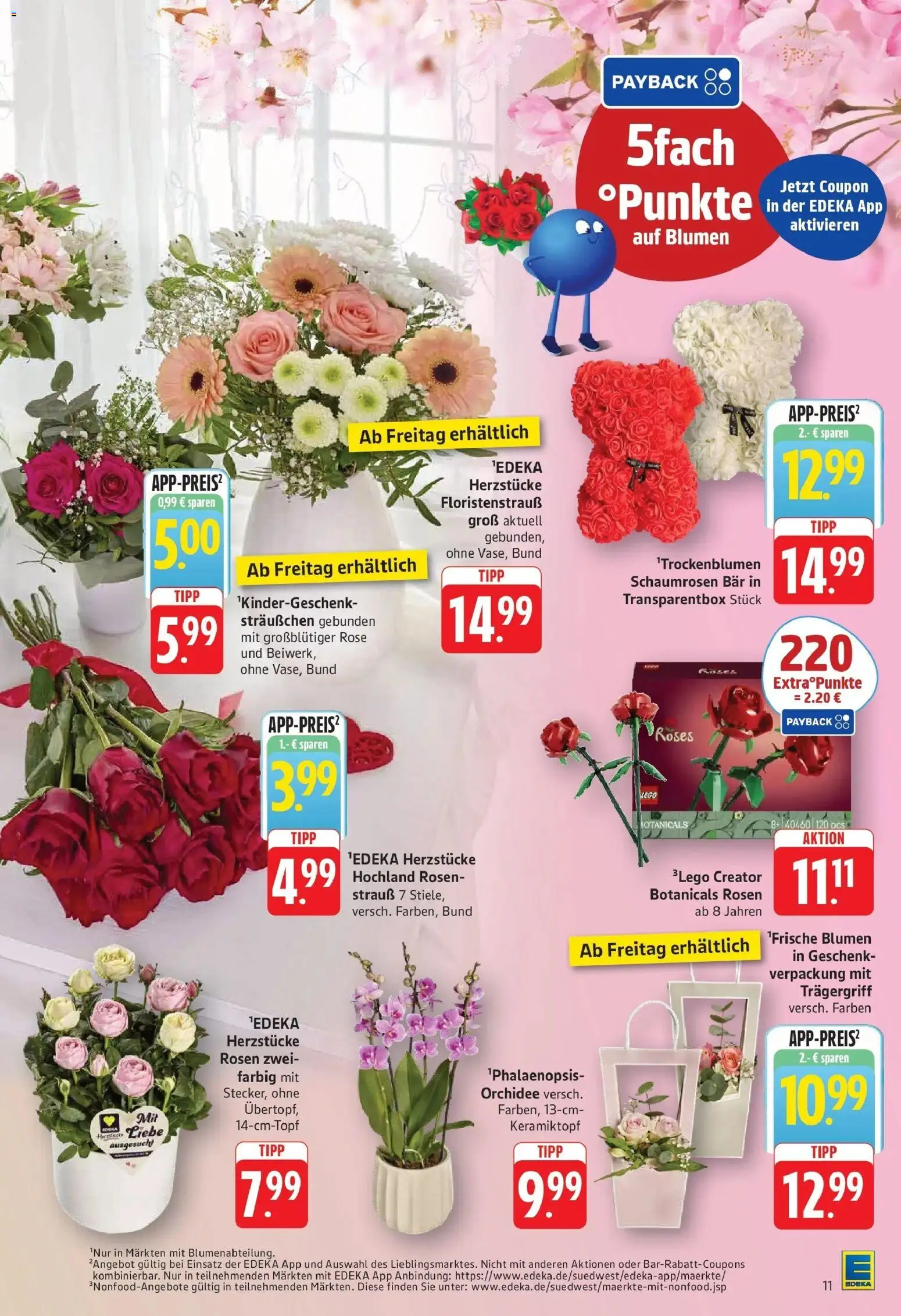 Edeka prospekt Göppingen	 – gültig ab 04.05.2026 | Seite: 13 | Produkte: Orchidee, Blumen