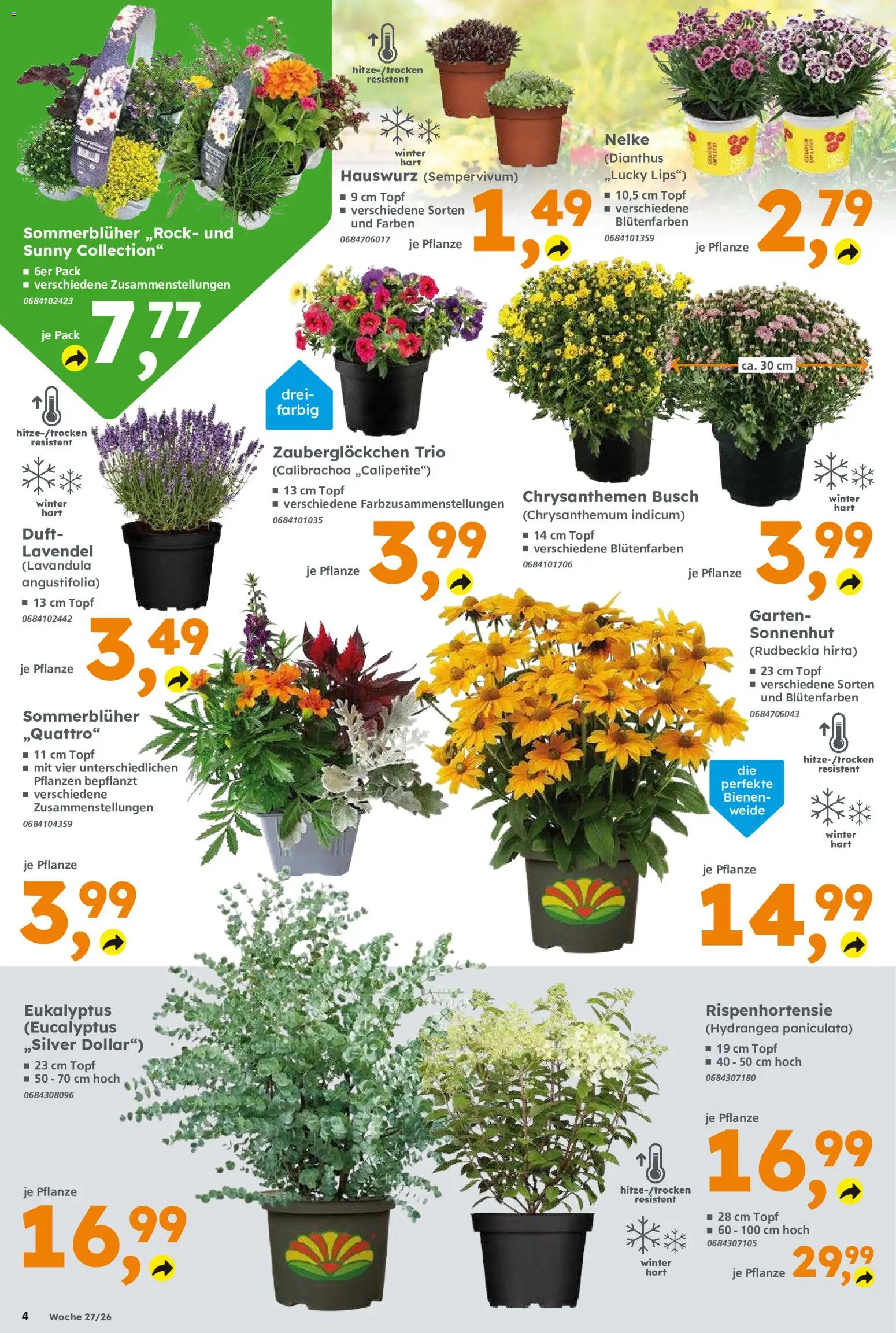 Globus Baumarkt Prospekt – gültig ab 29.06.2026 | Seite: 4