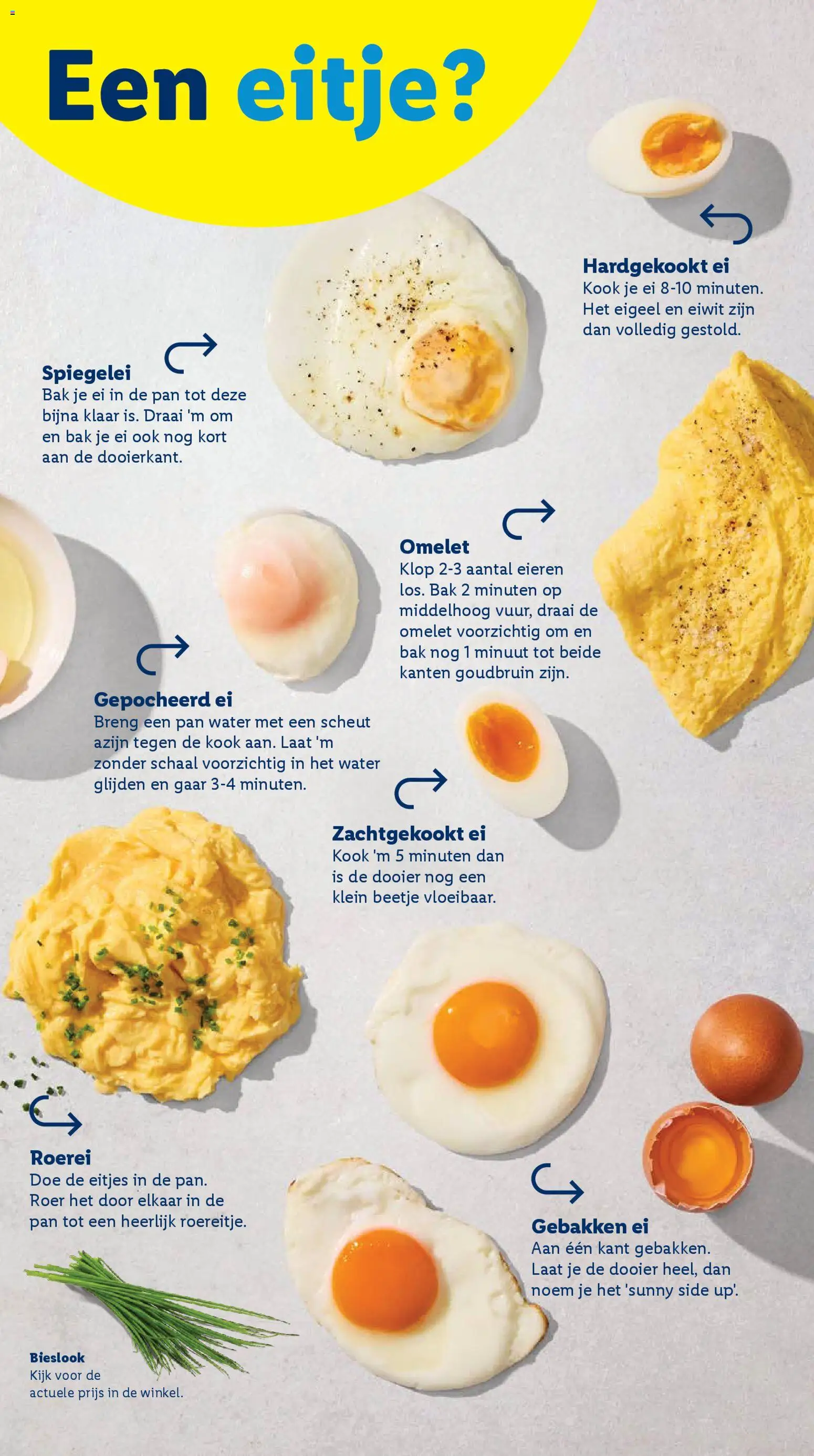 {H1} | Pagina: 10 | Producten: Eieren, Pan, Schaal, Festék