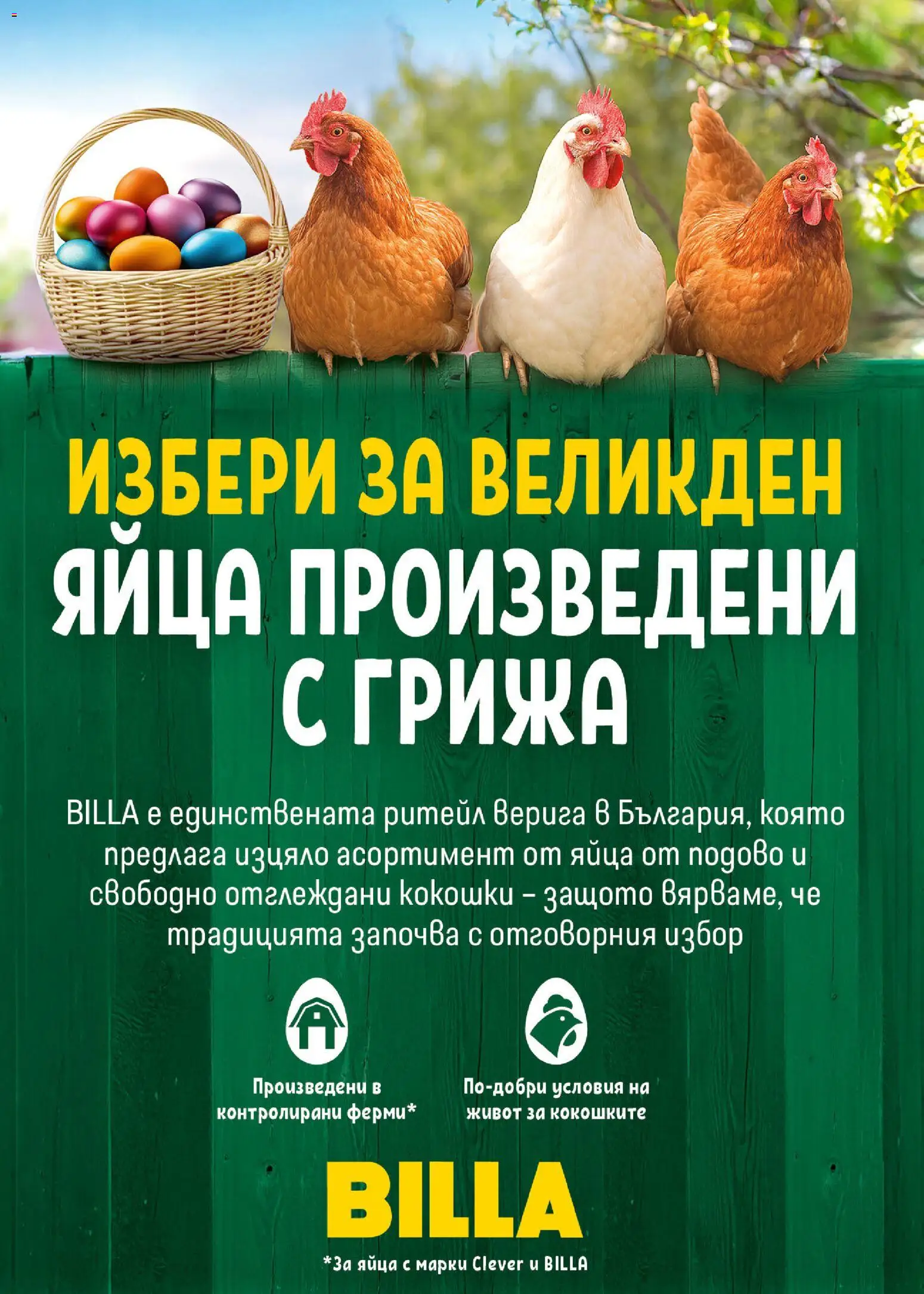 {H1} | Страница: 30 | Продукти: Яйца