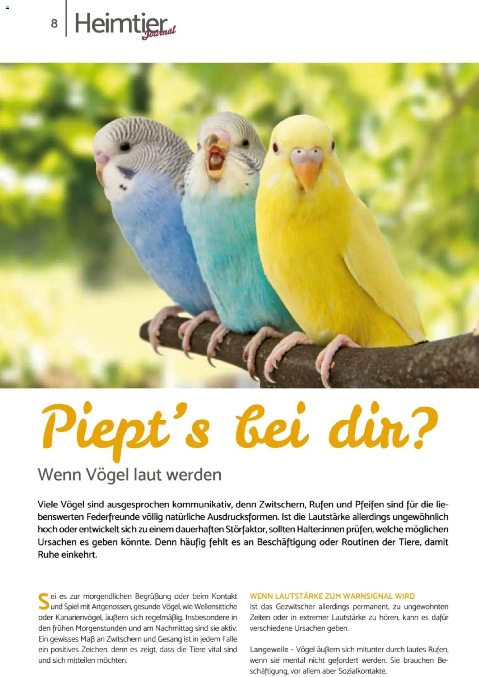 zookauf Heimtier Journal – gültig ab 01.10.2026 | Seite: 8 | Produkte: Spiel