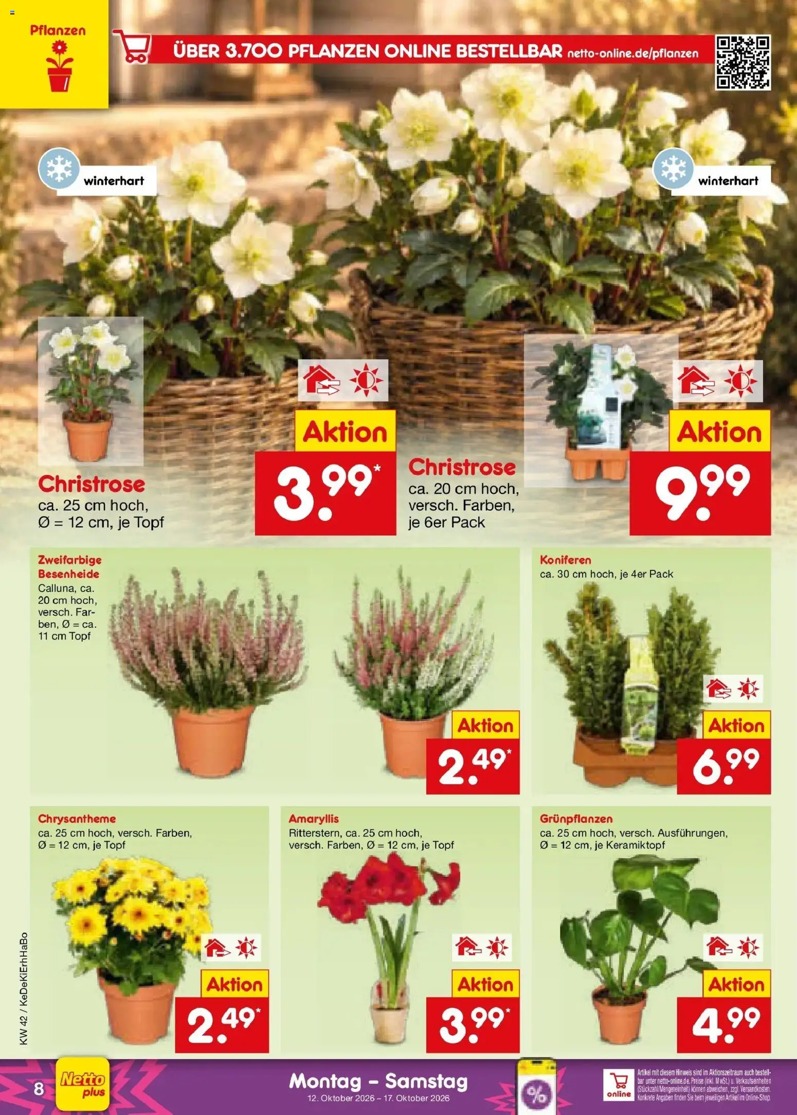 Netto Marken-Discount Prospekt Bad Friedrichshall (ab 12.10.2026) » Angebote | Seite: 10