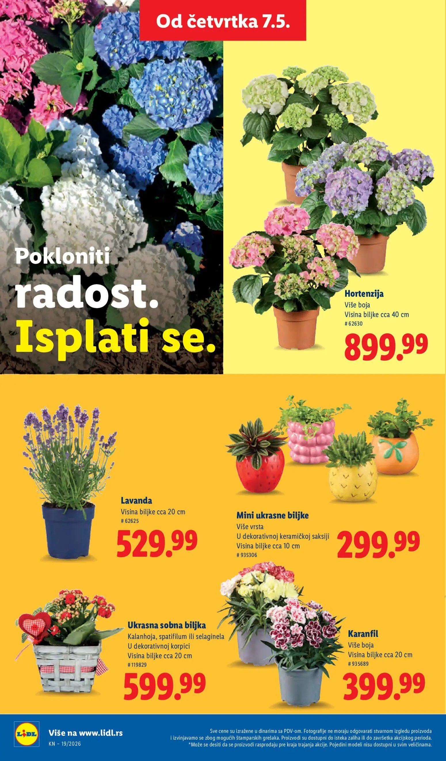 Lidl katalog - važi od 07.05.2026 | Strana: 66