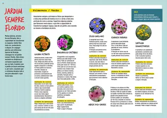 Pré-visualização BricoMarché Plantas Floridas válido de 17.01.2024 | Página: 2 | Produtos: Flores, Salmão, Vaso, Laranjas