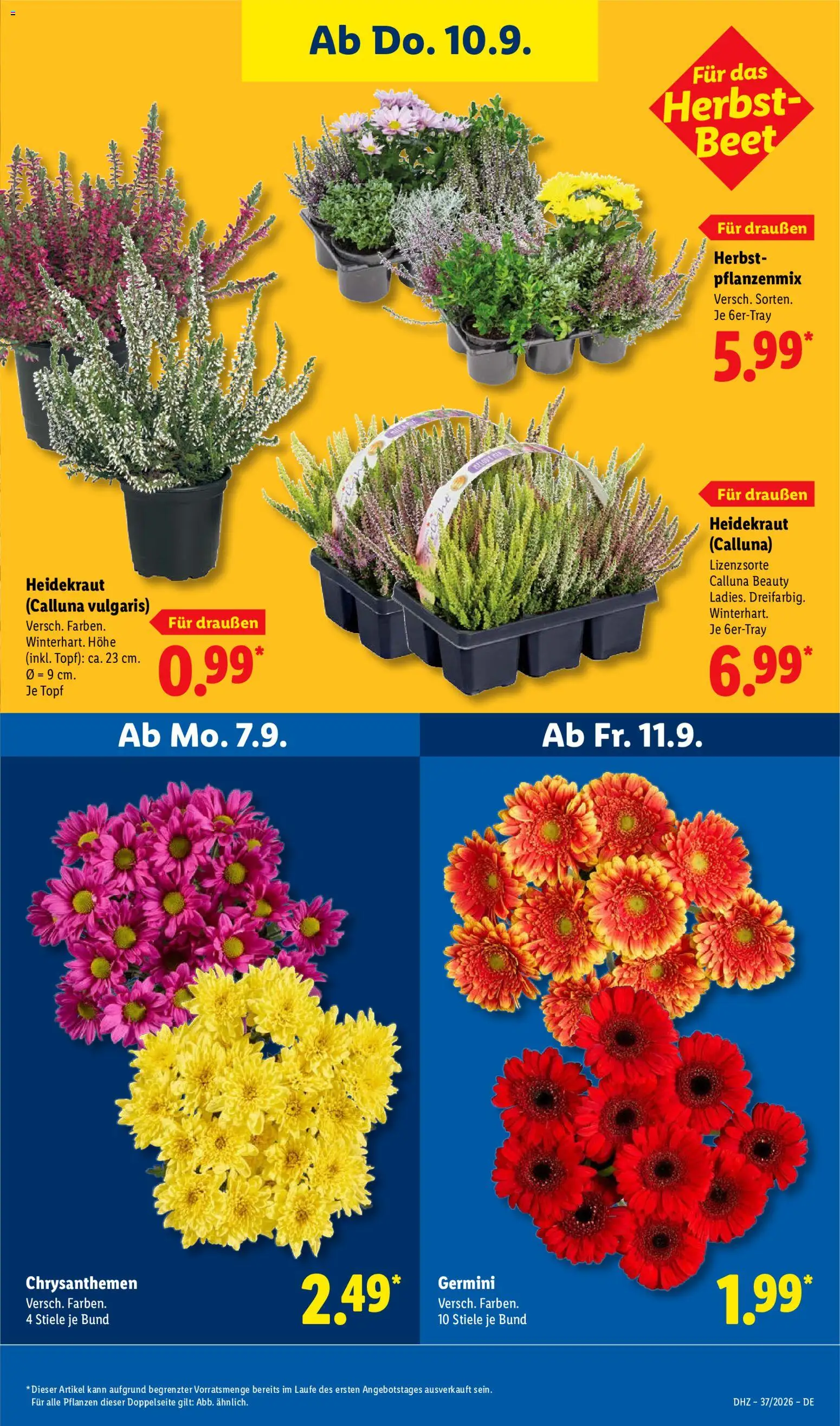 Lidl Prospekt – gültig ab 07.09.2026 | Seite: 27
