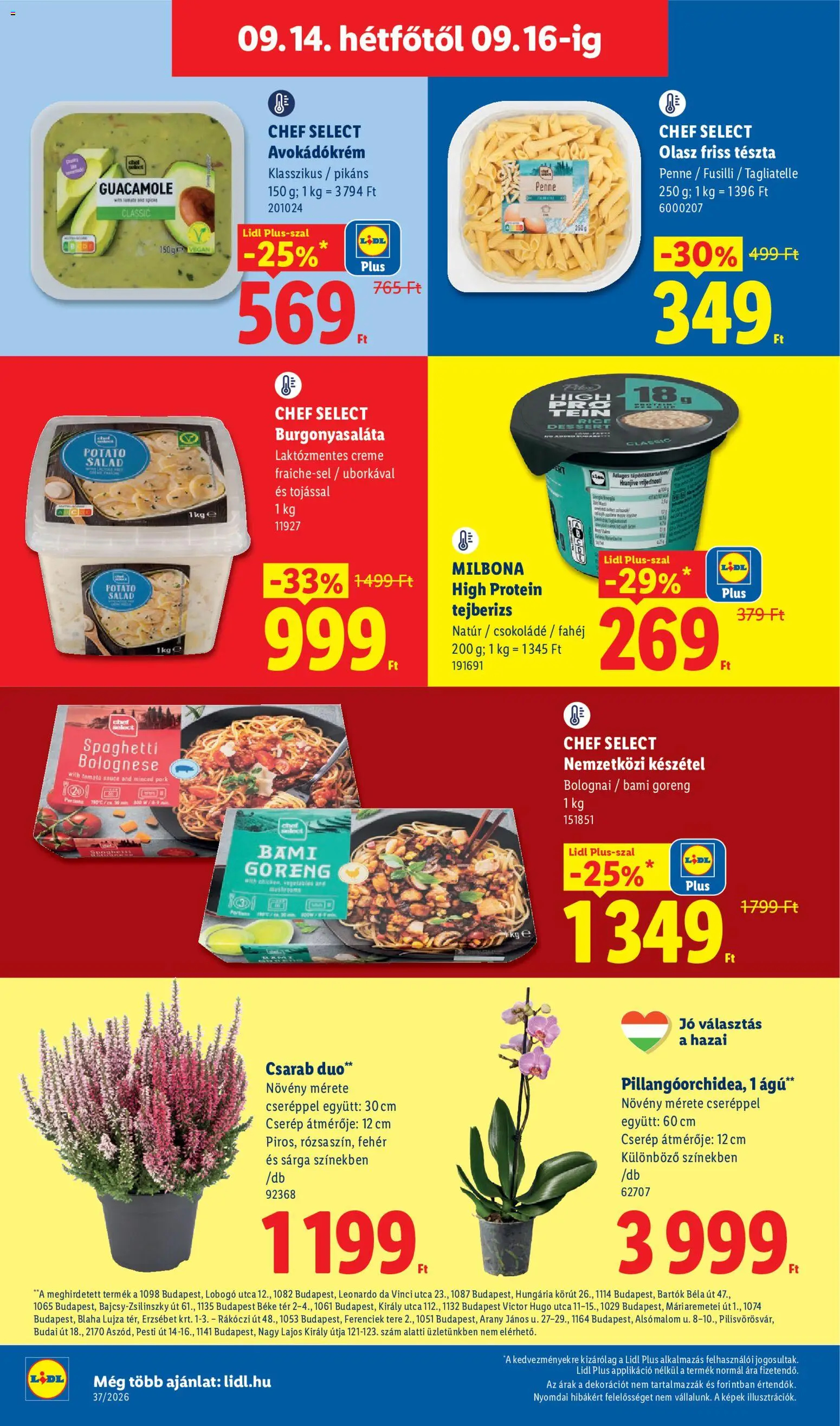 Lidl akciós ujság - amely érvényes a következő dátumtól: 2026.09.10. | Oldal: 60 | Termékek: Burgonyasaláta, Protein, Penne, Chef Select