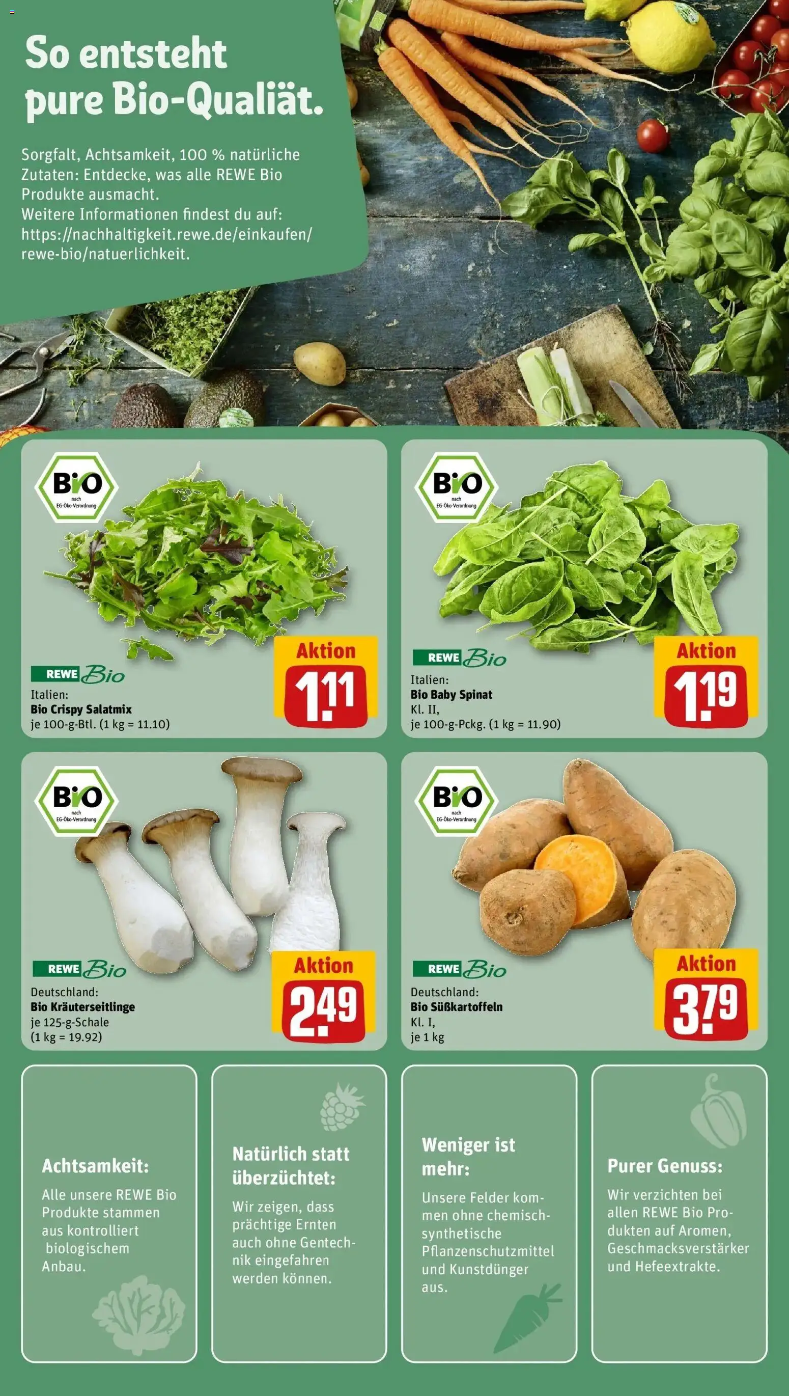 Rewe Prospekt Mettlach / Orscholz	 – gültig ab 20.04.2026 | Seite: 13