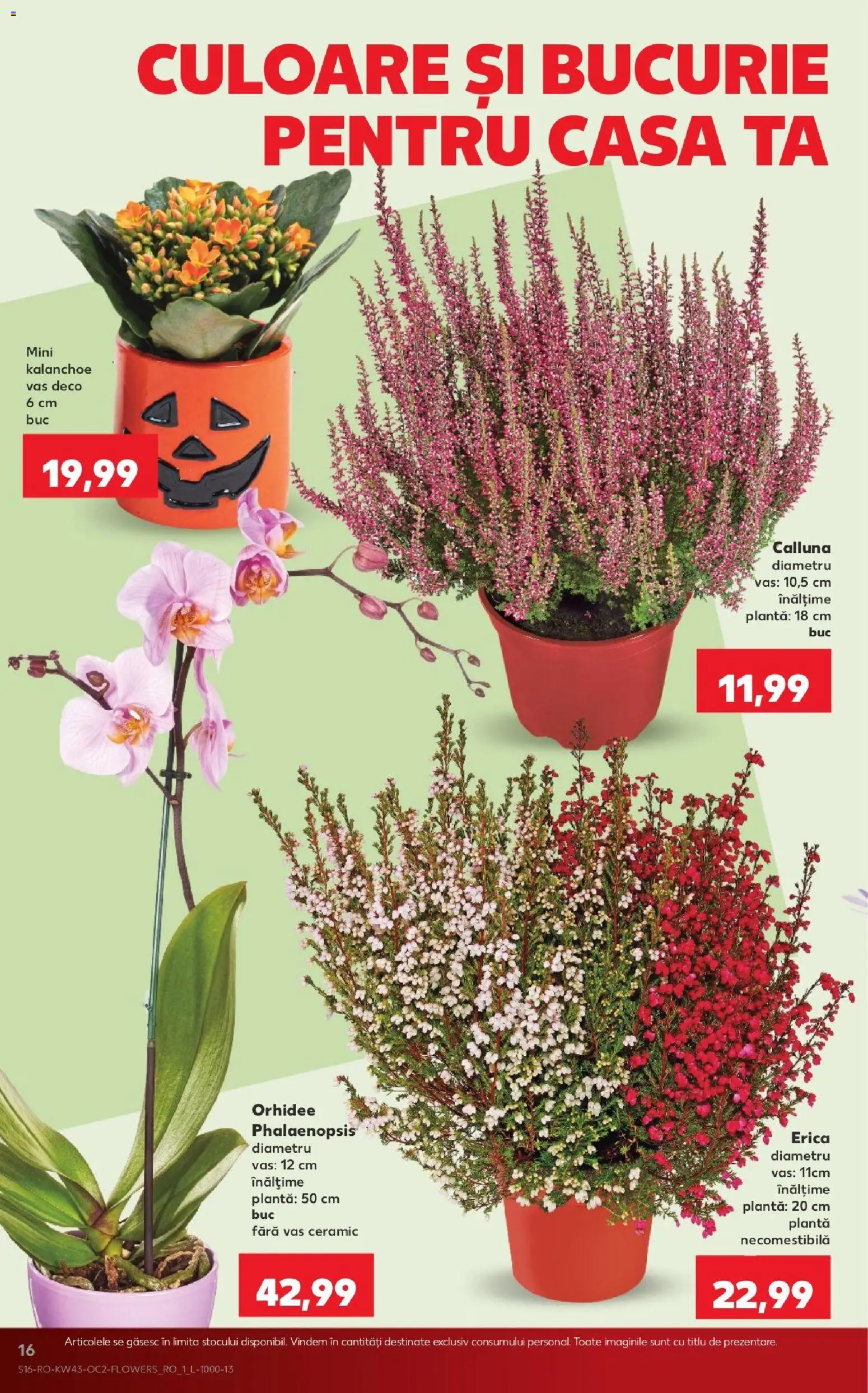 Noul catalog Kaufland – valabil de la 21.10.2026 | Pagină: 16 | Produse: Tigaie, Cratiță