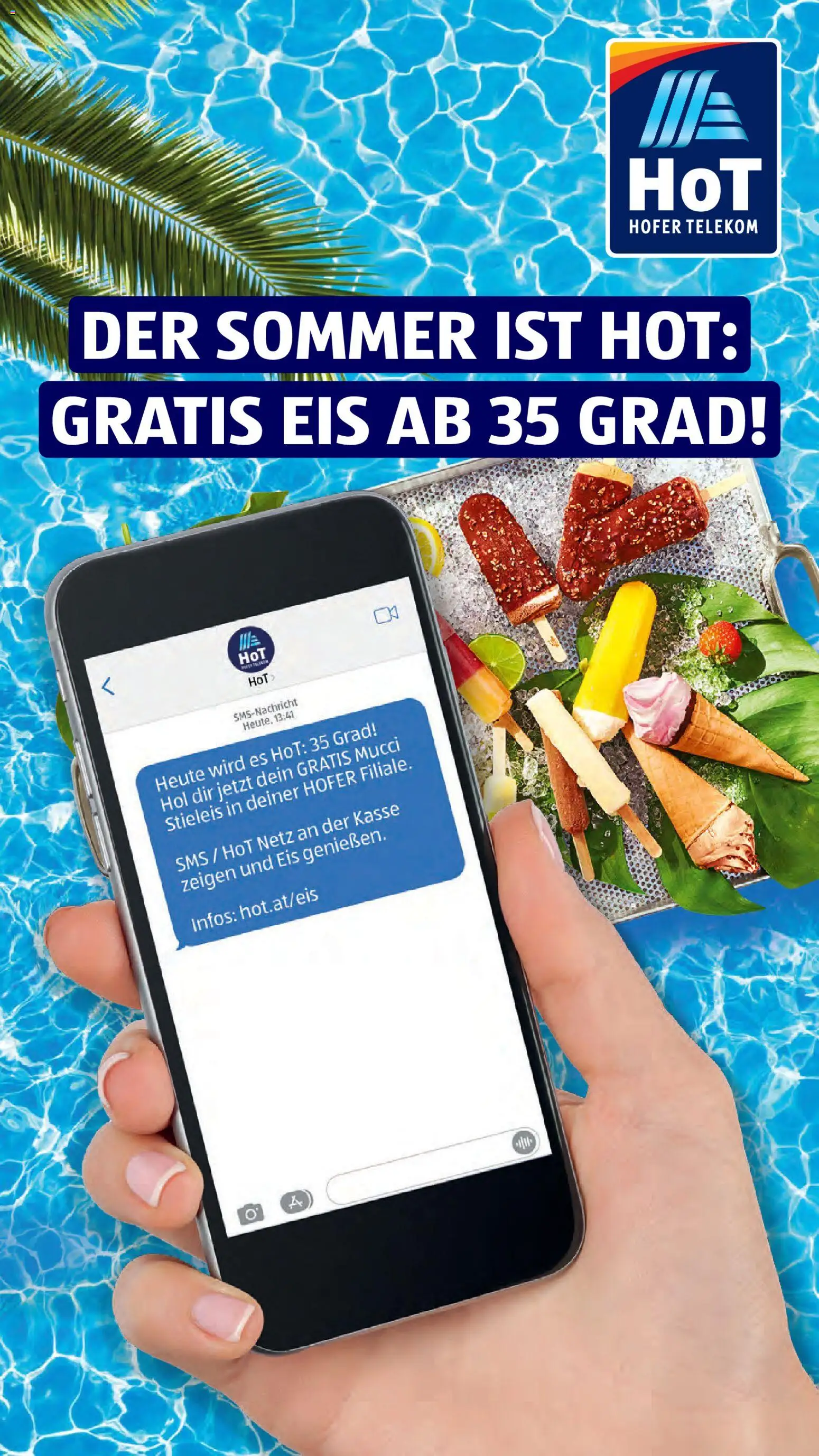 Hofer Flugblatt gültig ab 12.08.2026 | Seite: 29