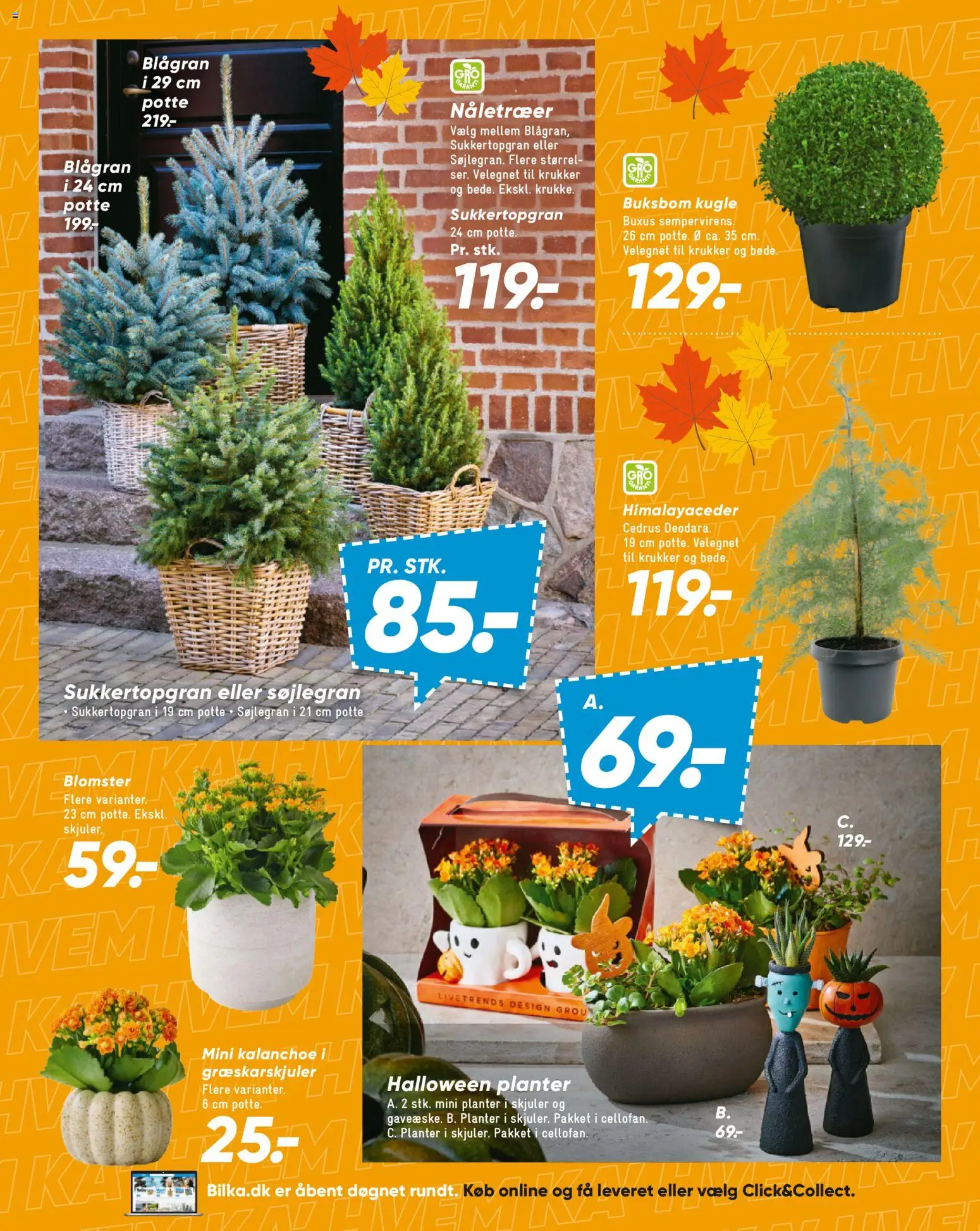 Bilka tilbudsavis – gyldig fra 02/10/2026 | Side: 42