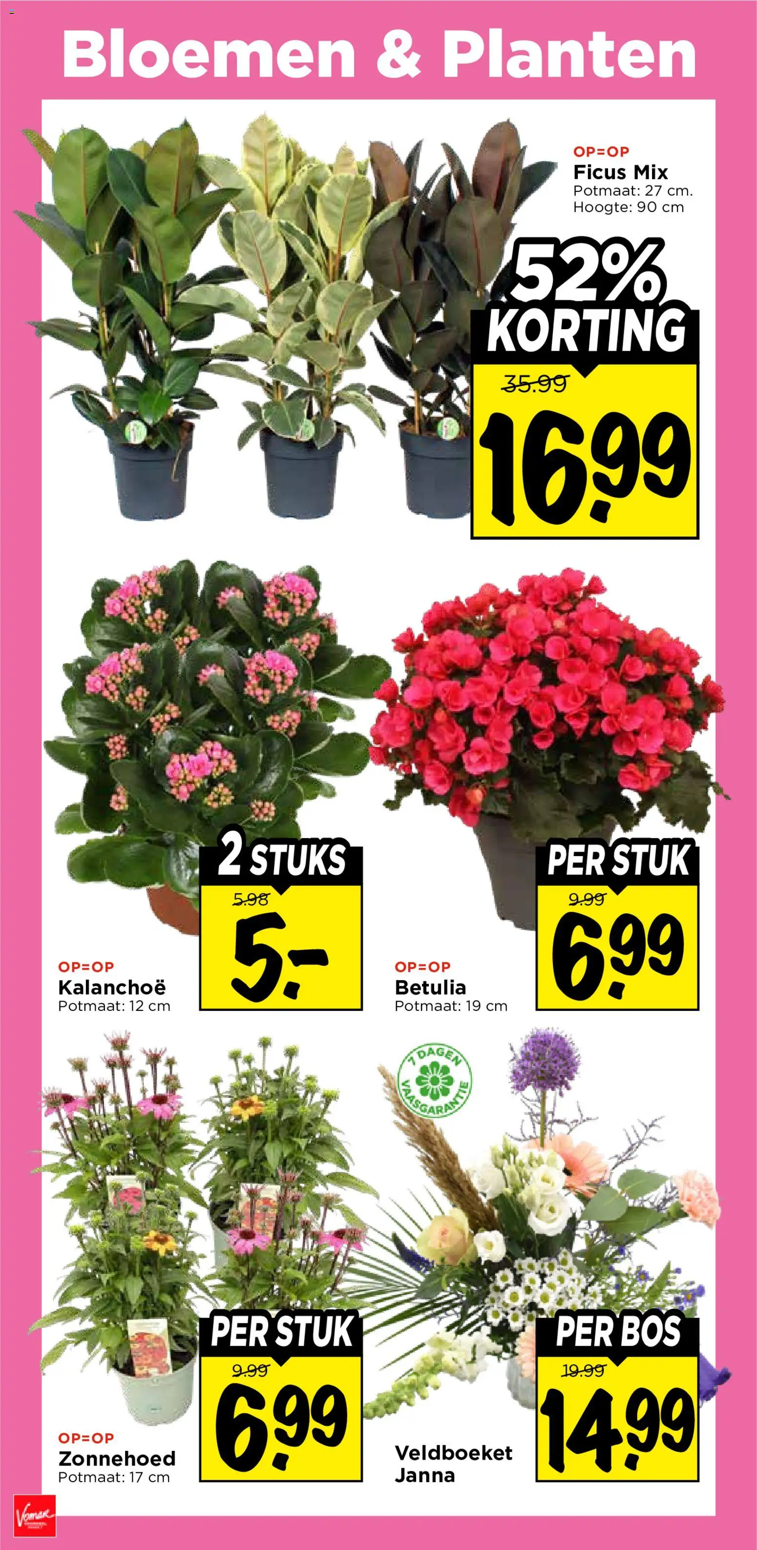 {H1} | Pagina: 26 | Producten: Bloemen