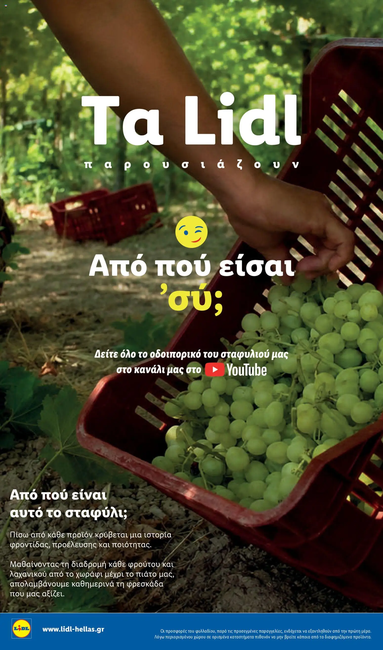 Lidl Φυλλάδιο - σε ισχύ από 01/10/2026 | Σελίδα: 32