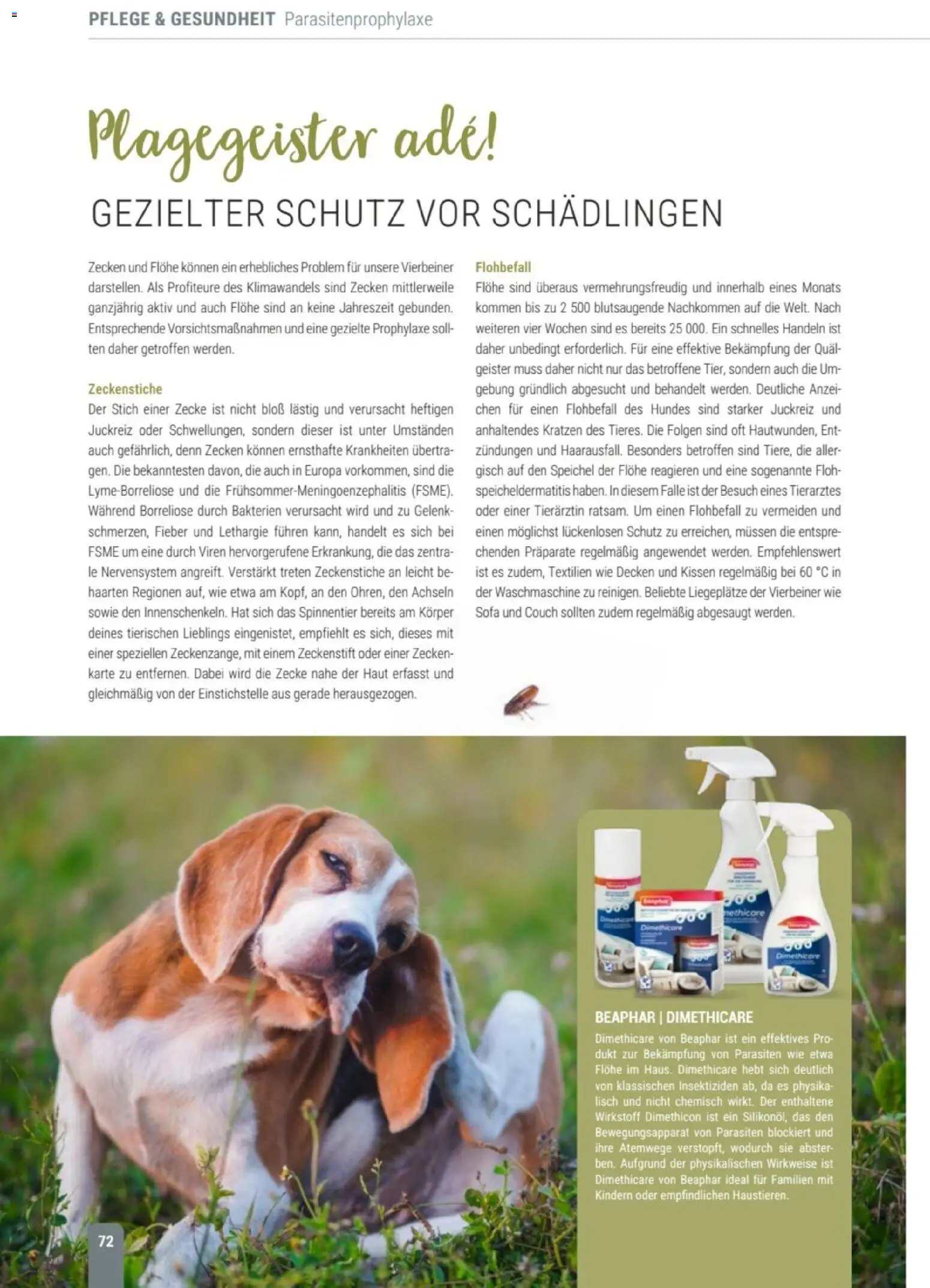 zookauf Themenkatalog Hund – gültig ab 18.05.2026 | Seite: 72 | Produkte: Kissen, Sofa, Couch, Waschmaschine