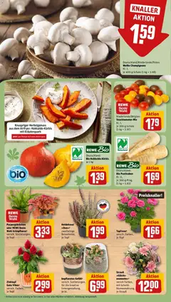 Rewe Prospekt Passau ab 28.09.2026 gültig | Seite: 15