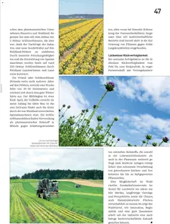 Lagerhaus Unser Land Juni 2026 ab 01.06.2026 gültig | Seite: 47 | Produkte: Tee