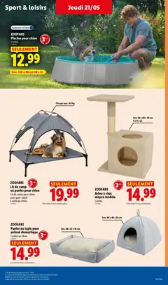 LIDL - Prévisualisation de ZOOFARI Panier ou tapis pour animal domestique, Panier ou tapis pour animal domestique L'unité au choix. valide à partir de 21.05.2026 | Page: 37