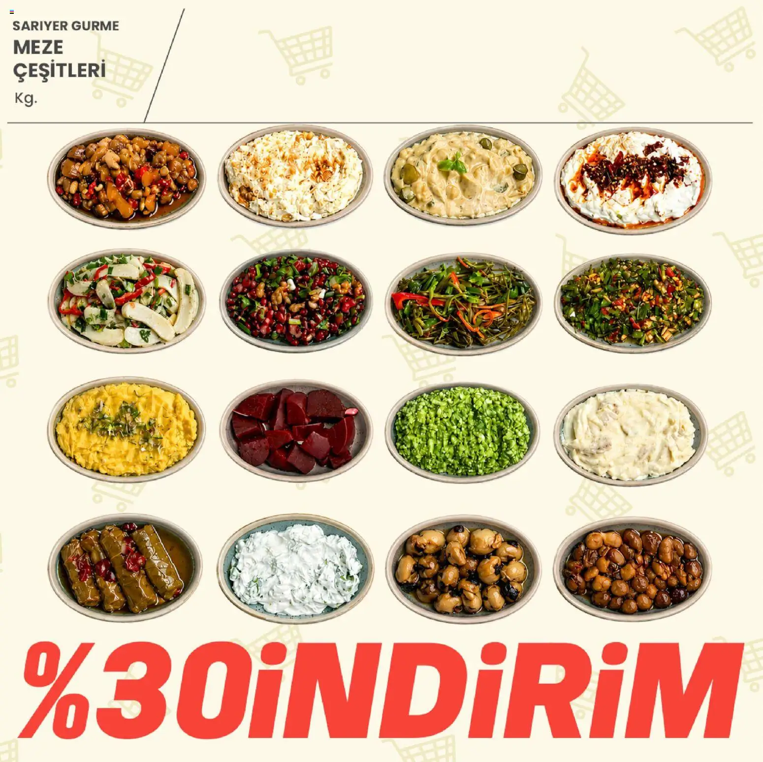 Sarıyer Katalog - 02 Ekim 2026 tarihinden itibaren geçerlidir | Sayfa: 7