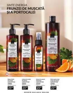 Ofertele Avon valabile de la 01.08.2026 | Pagină: 197 | Produse: Elixir, Cameră, Duș, Săpun lichid