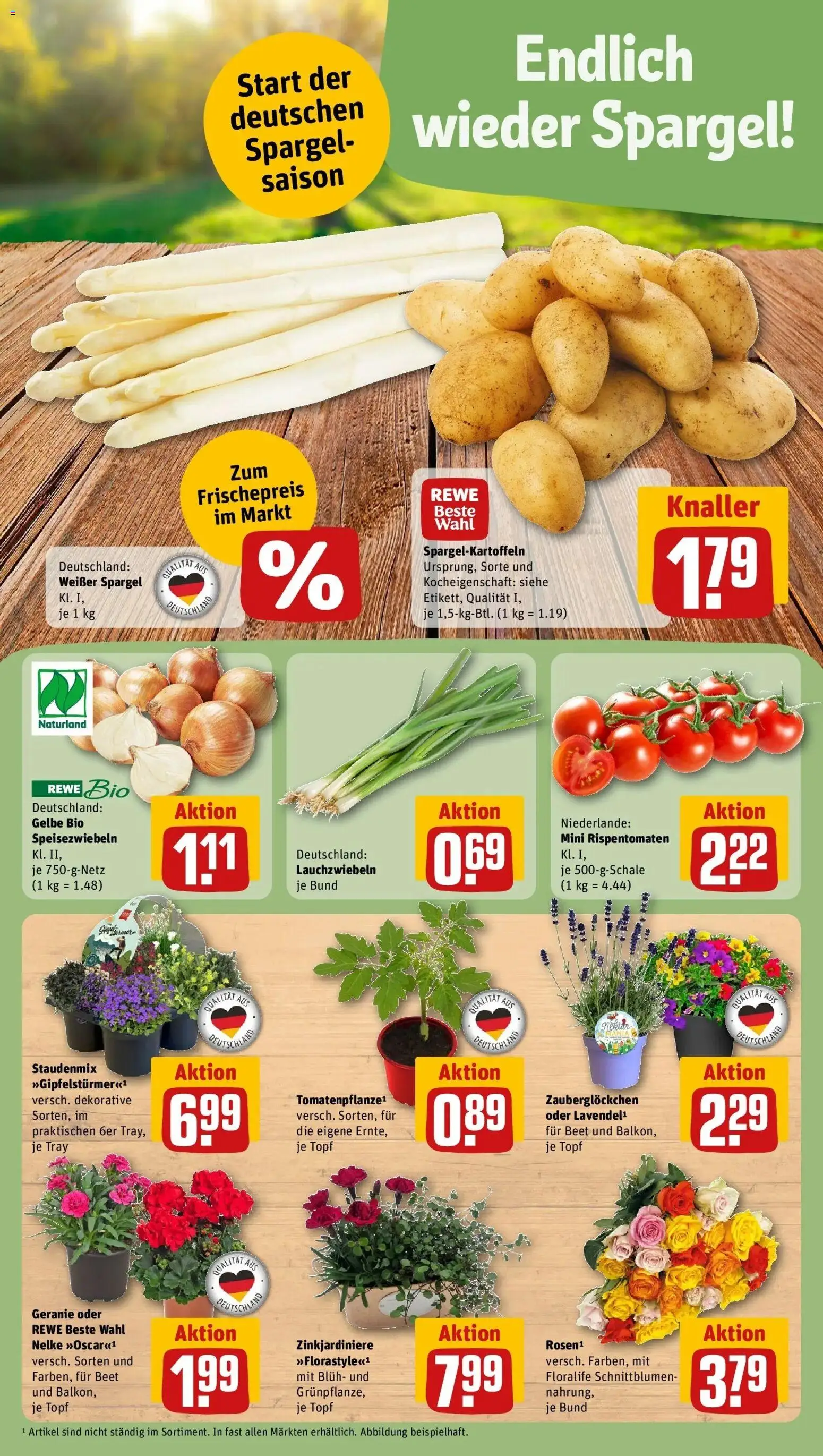 Rewe Prospekt Katzenelnbogen	 – gültig ab 12.04.2026 | Seite: 5 | Produkte: Spargel
