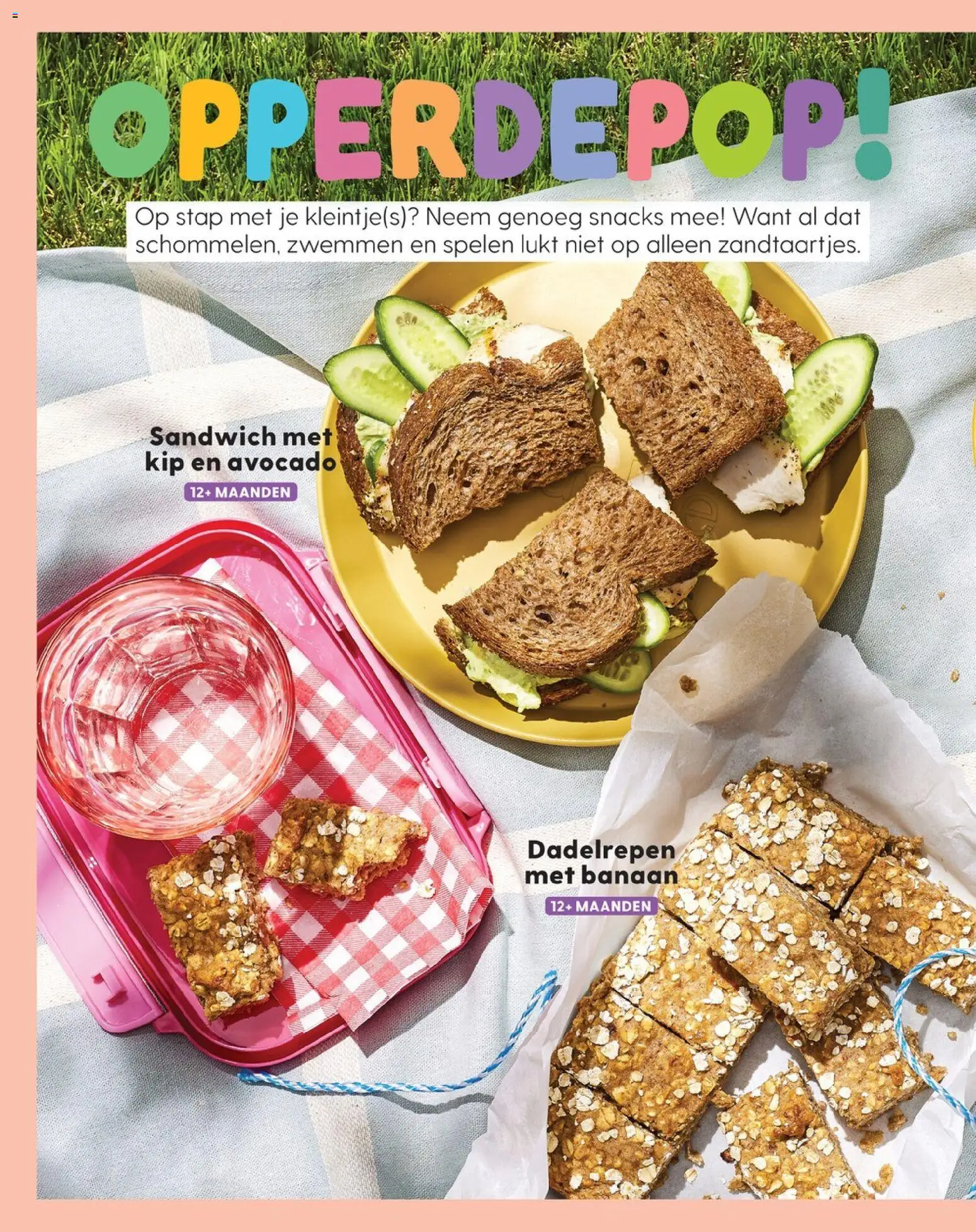 {H1} | Pagina: 93 | Producten: Snacks, Avocado, Sandwich, Kip