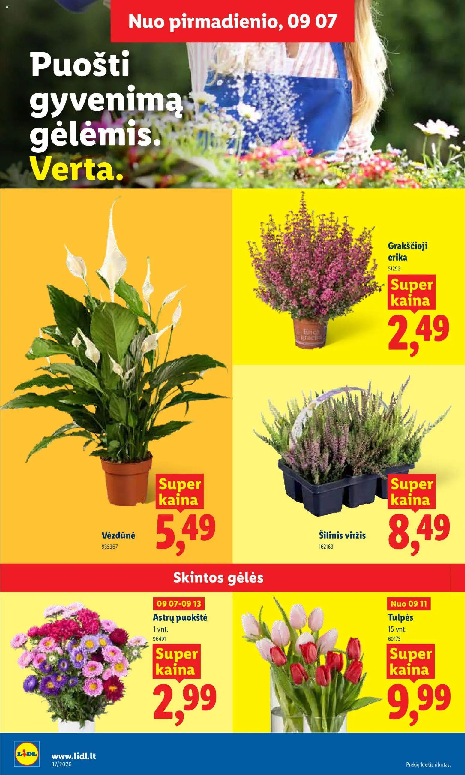 LIDL akcijos nuo 2026.09.07 | Puslapis: 20