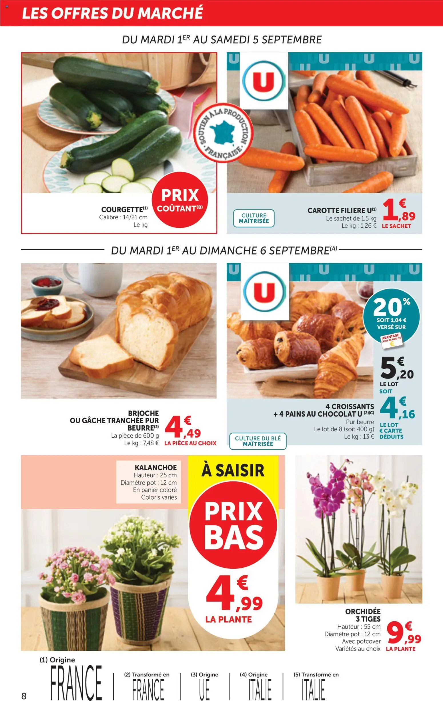 {H1} | Page: 8 | Produits: Orchidee 3 tiges, Beurre, Blé, Carotte