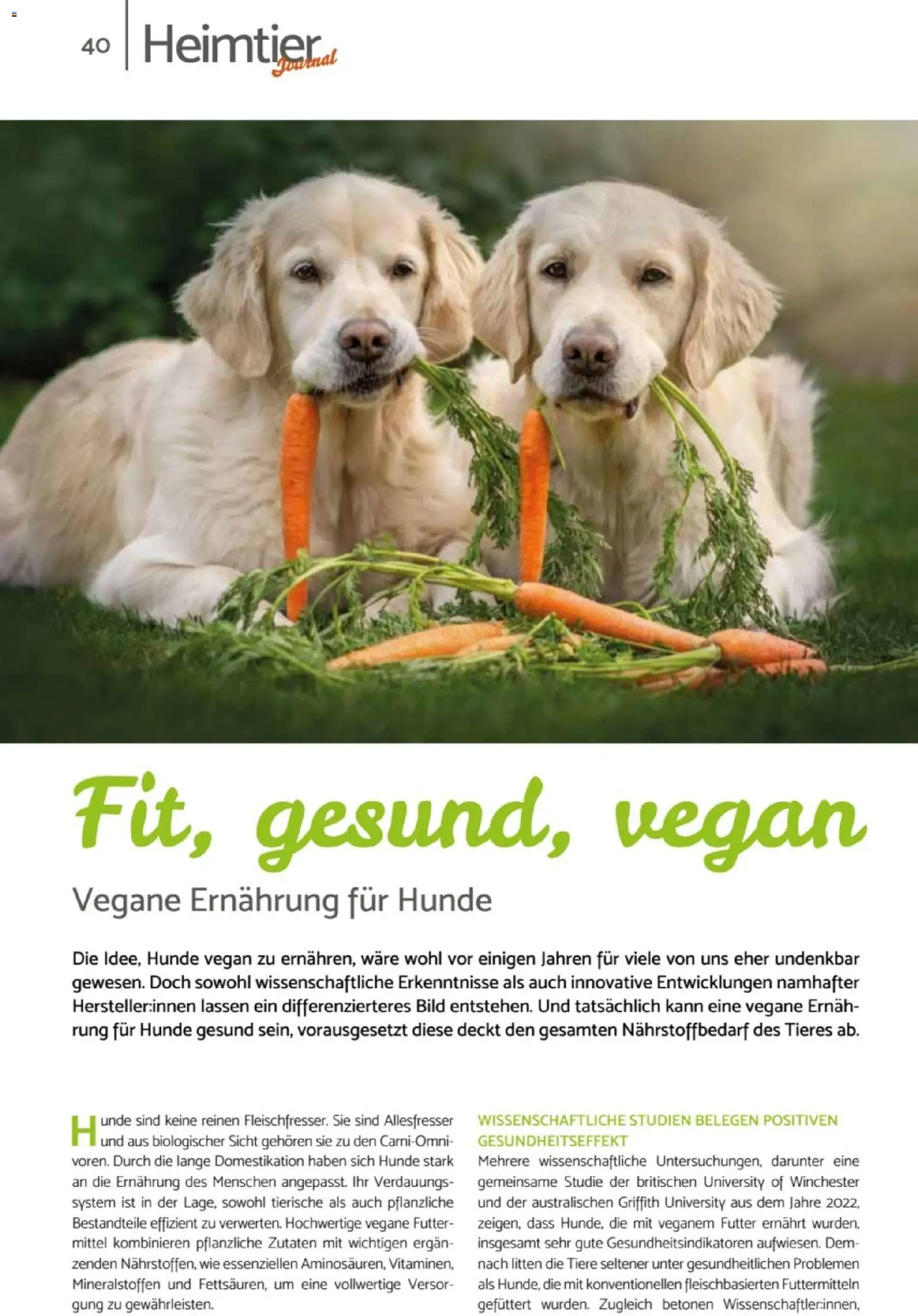 zookauf Heimtier Journal – gültig ab 01.06.2026 | Seite: 40