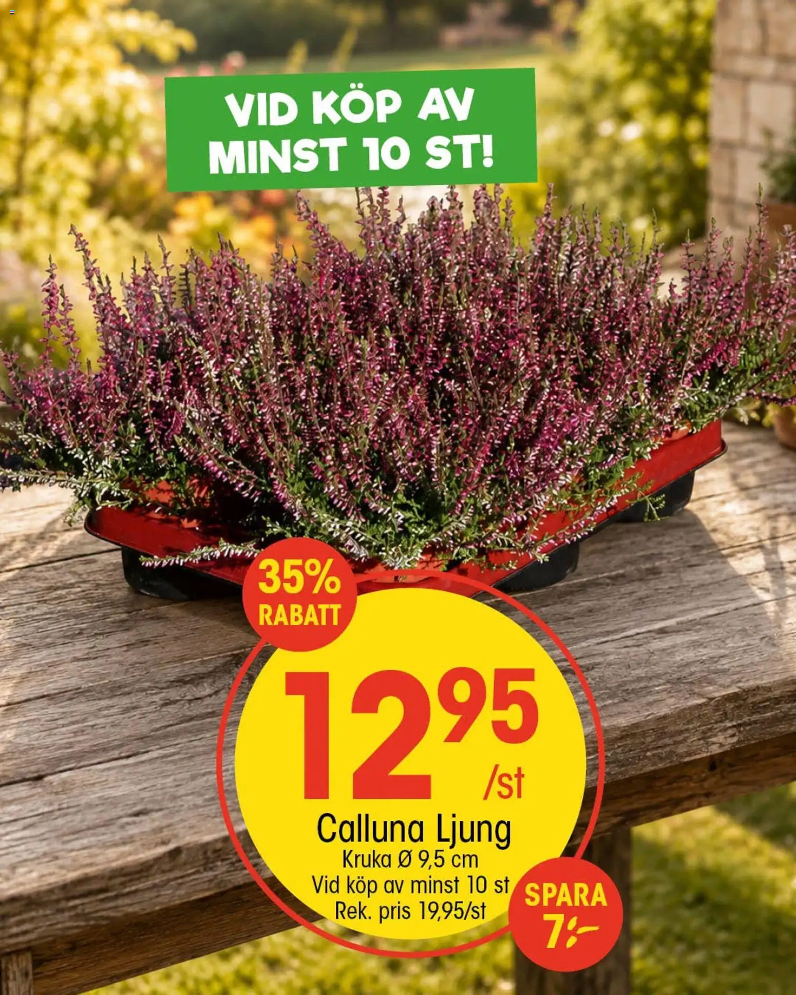 EKO reklamblad aktuell från 21/09/2026 | Sida: 2 | Produkter: Ljung, Kruka