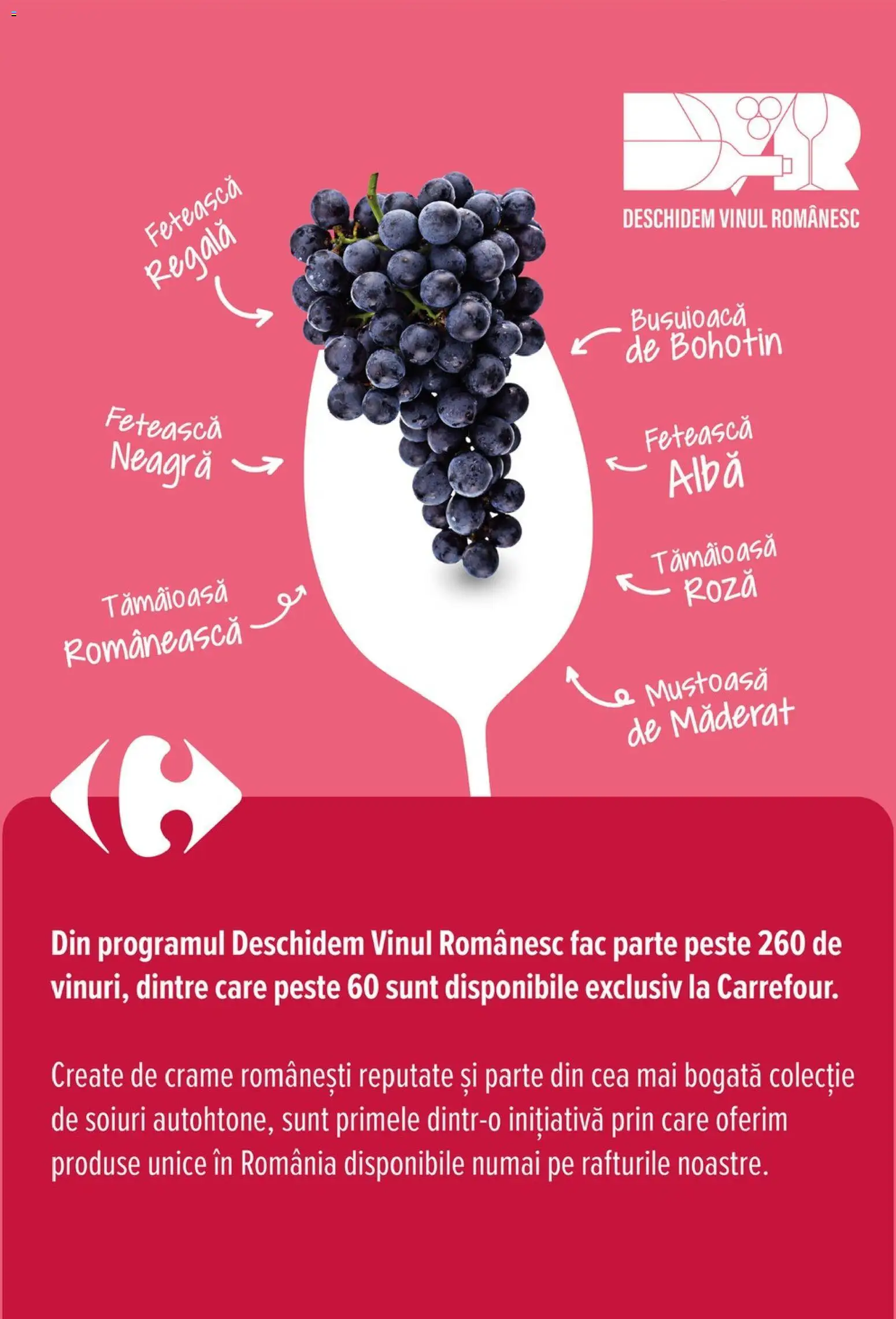 Noul catalog Carrefour – valabil de la 01.07.2026 | Pagină: 26