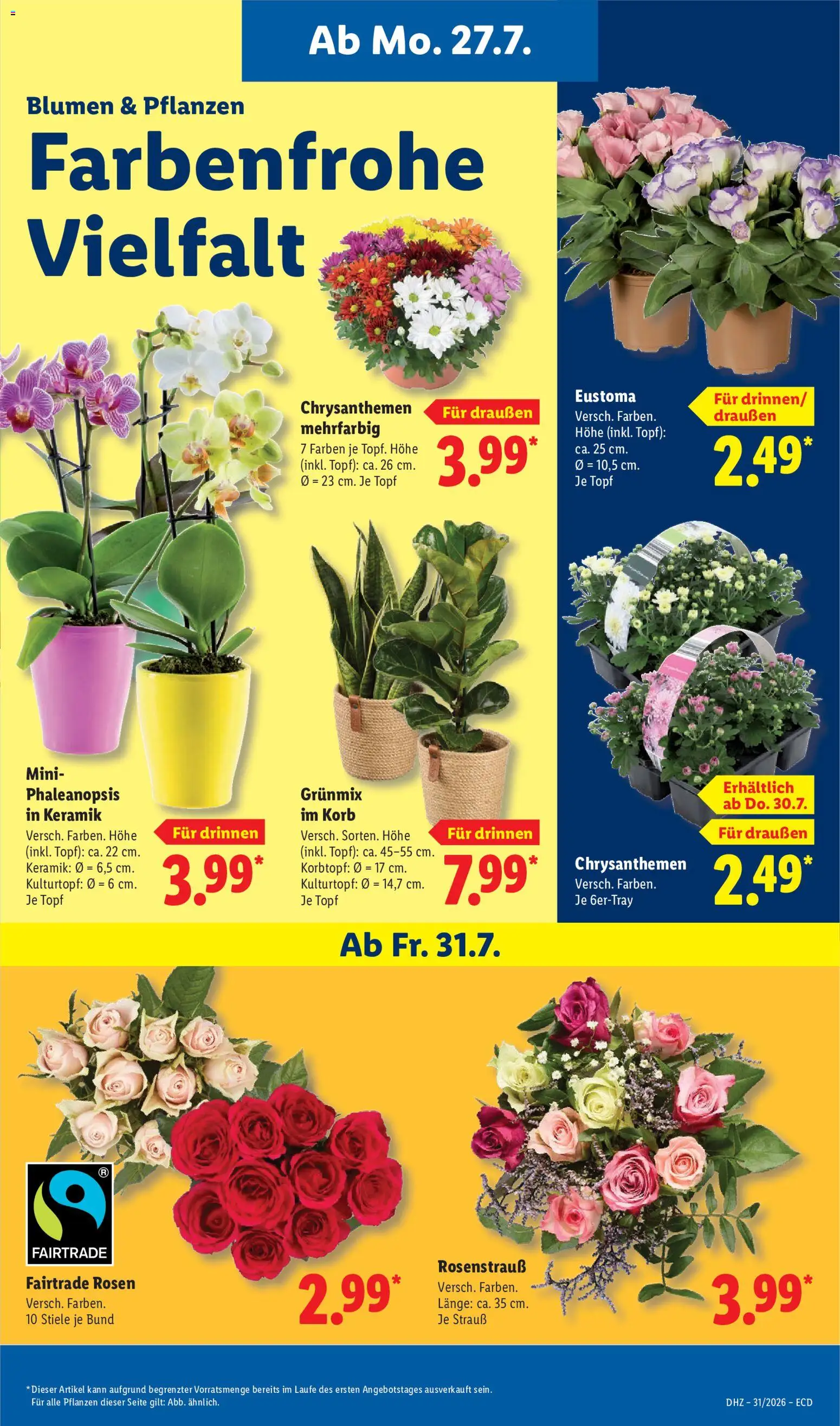 Lidl Prospekt – gültig ab 27.07.2026 | Seite: 7 | Produkte: Korb, Blumen