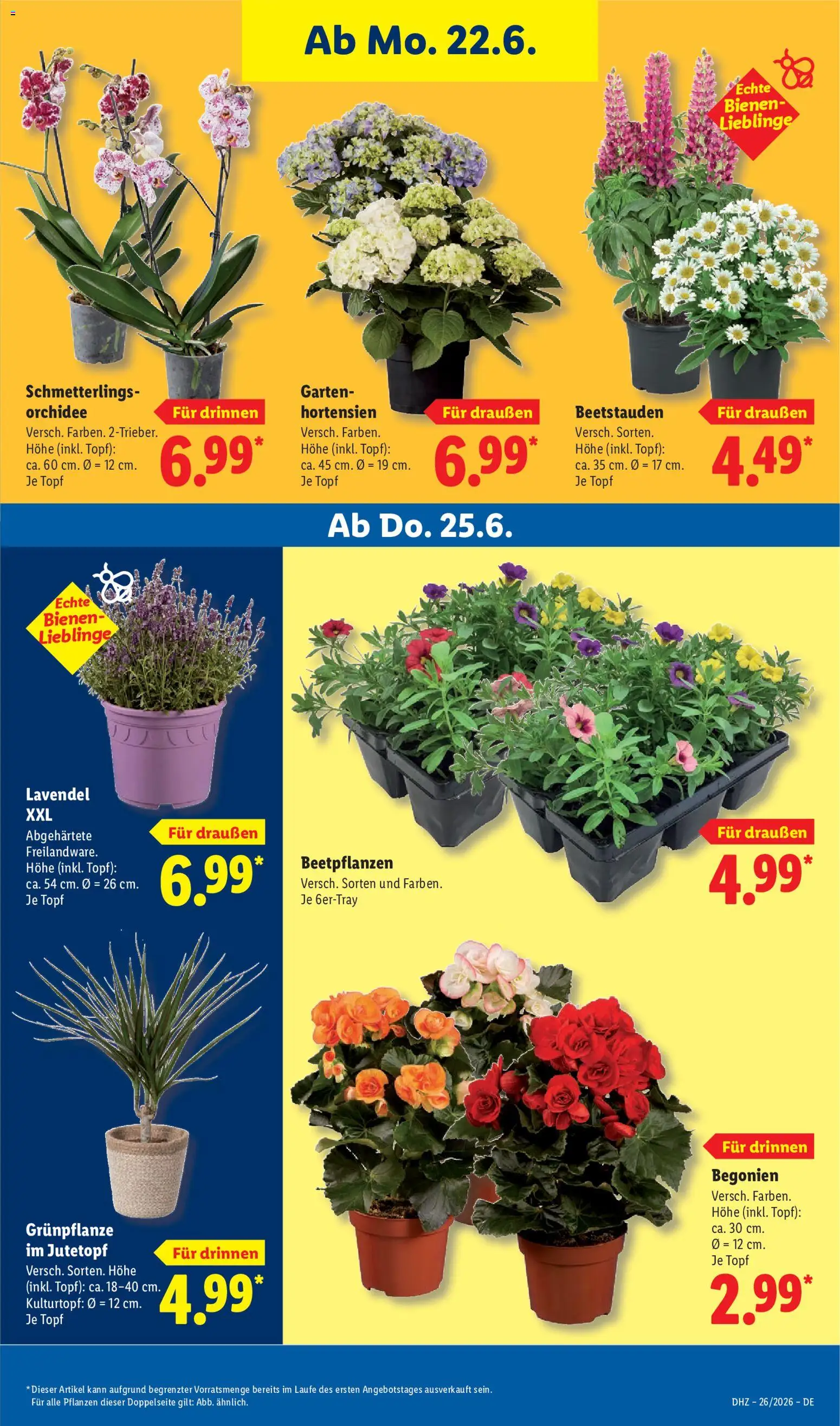 Lidl Německo leták od 22.06.2026 | Strana: 69
