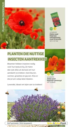 Brico Plan-it Tuincatalogus - Voorbeeld van een folder van Brico Plan-it, geldig van 10.03.2026 | Pagina: 104