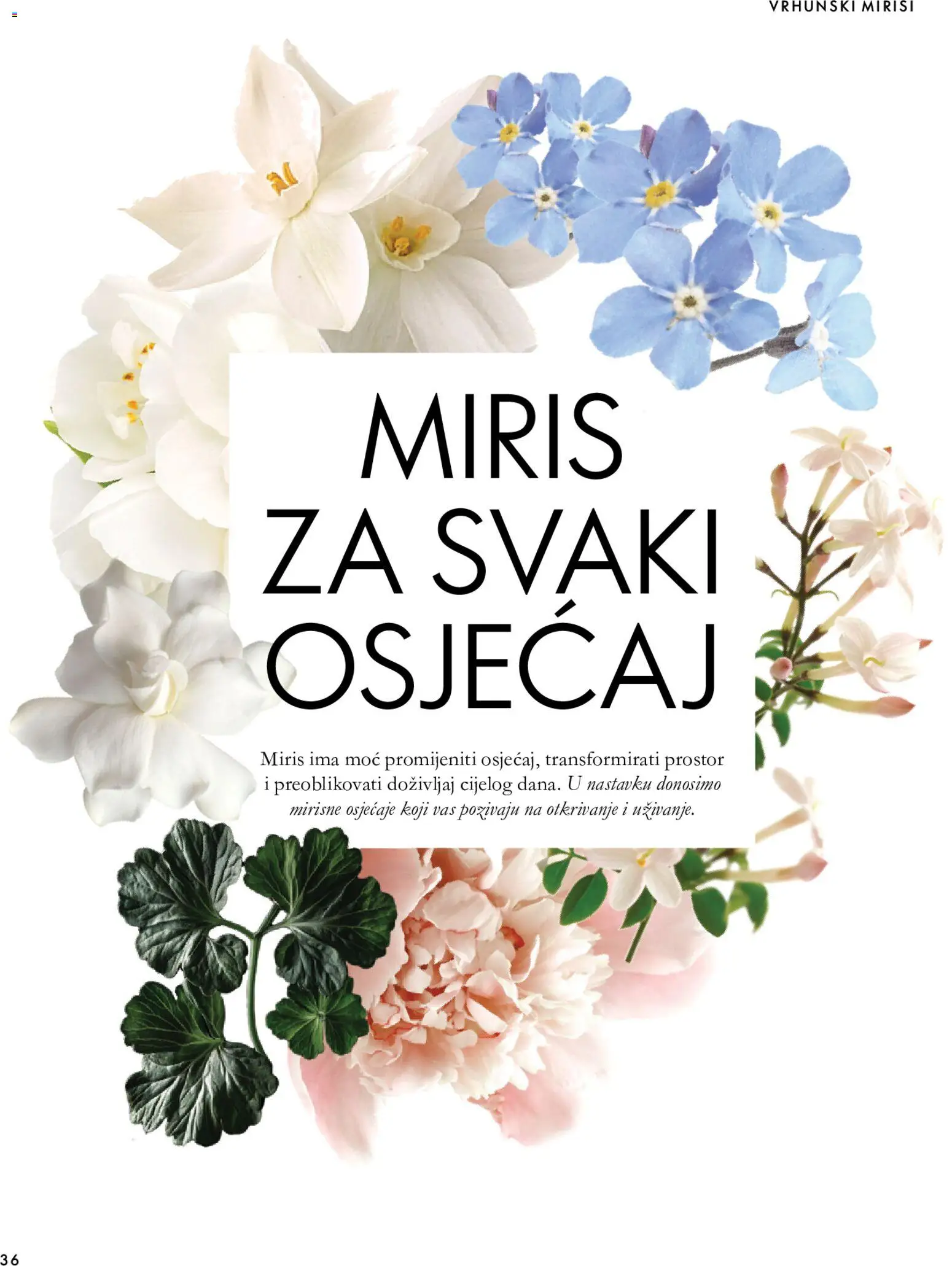 Oriflame katalog | vrijedi od 18.11.2026 | Stranica: 36 | Proizvodi: Miris