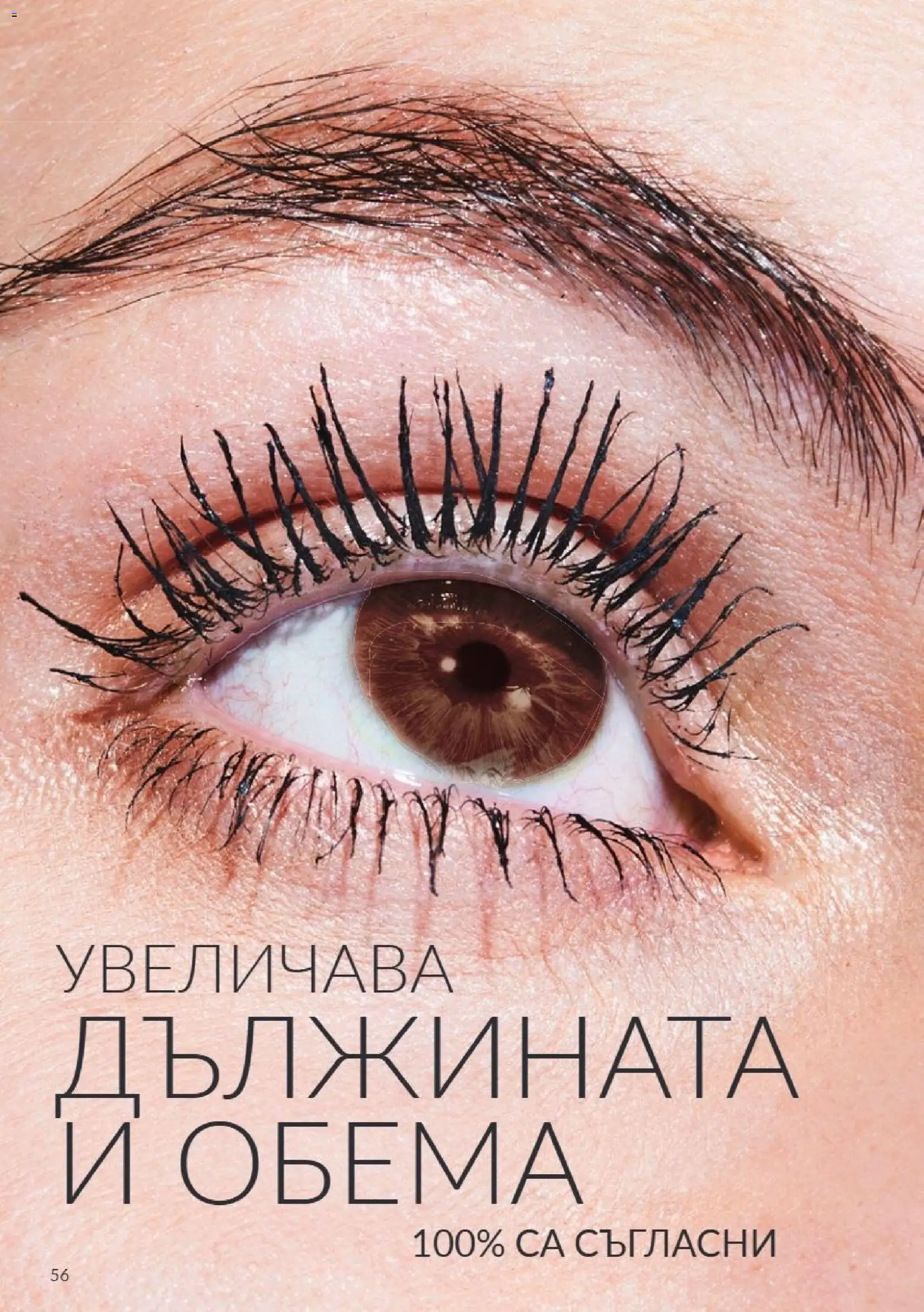 {H1} | Страница: 56