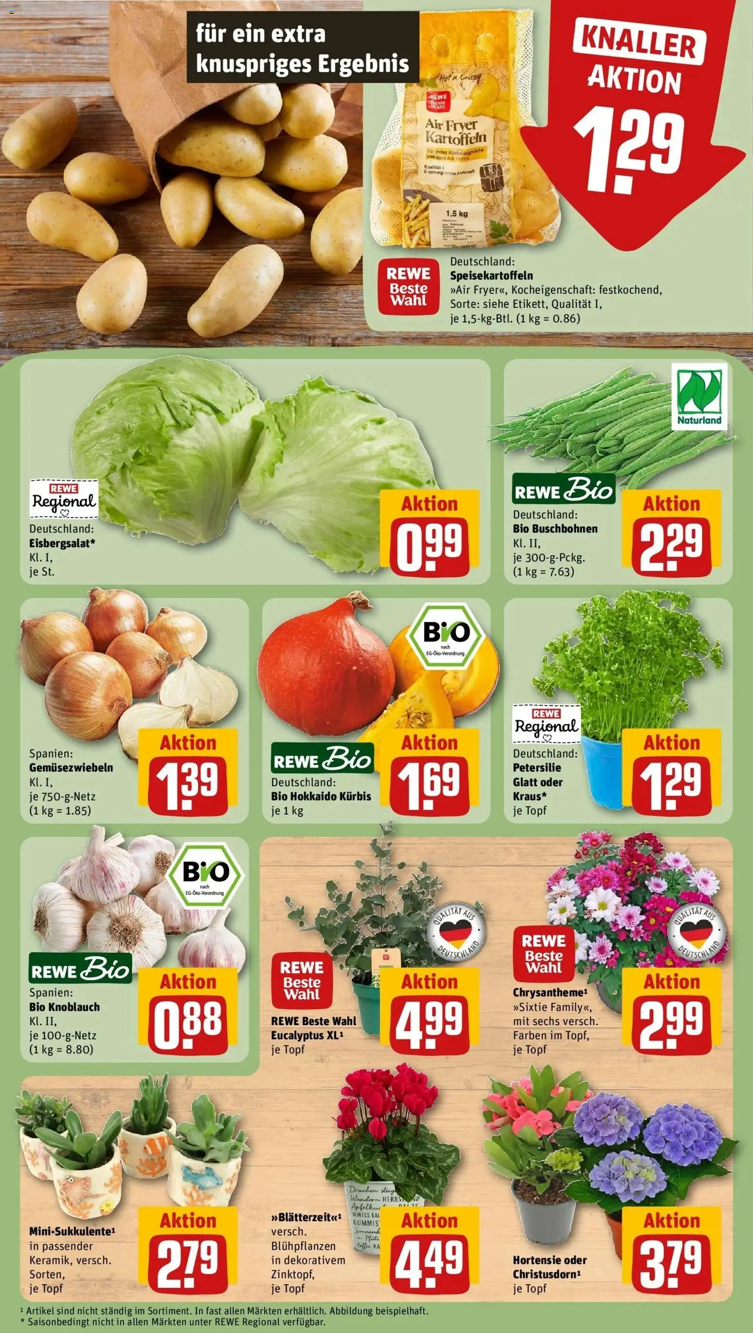 REWE Prospekt ab 24.08.2026 zum Blättern » Angebote | Seite: 7 | Produkte: Kaffee, Kartoffeln, Knoblauch, Kürbis