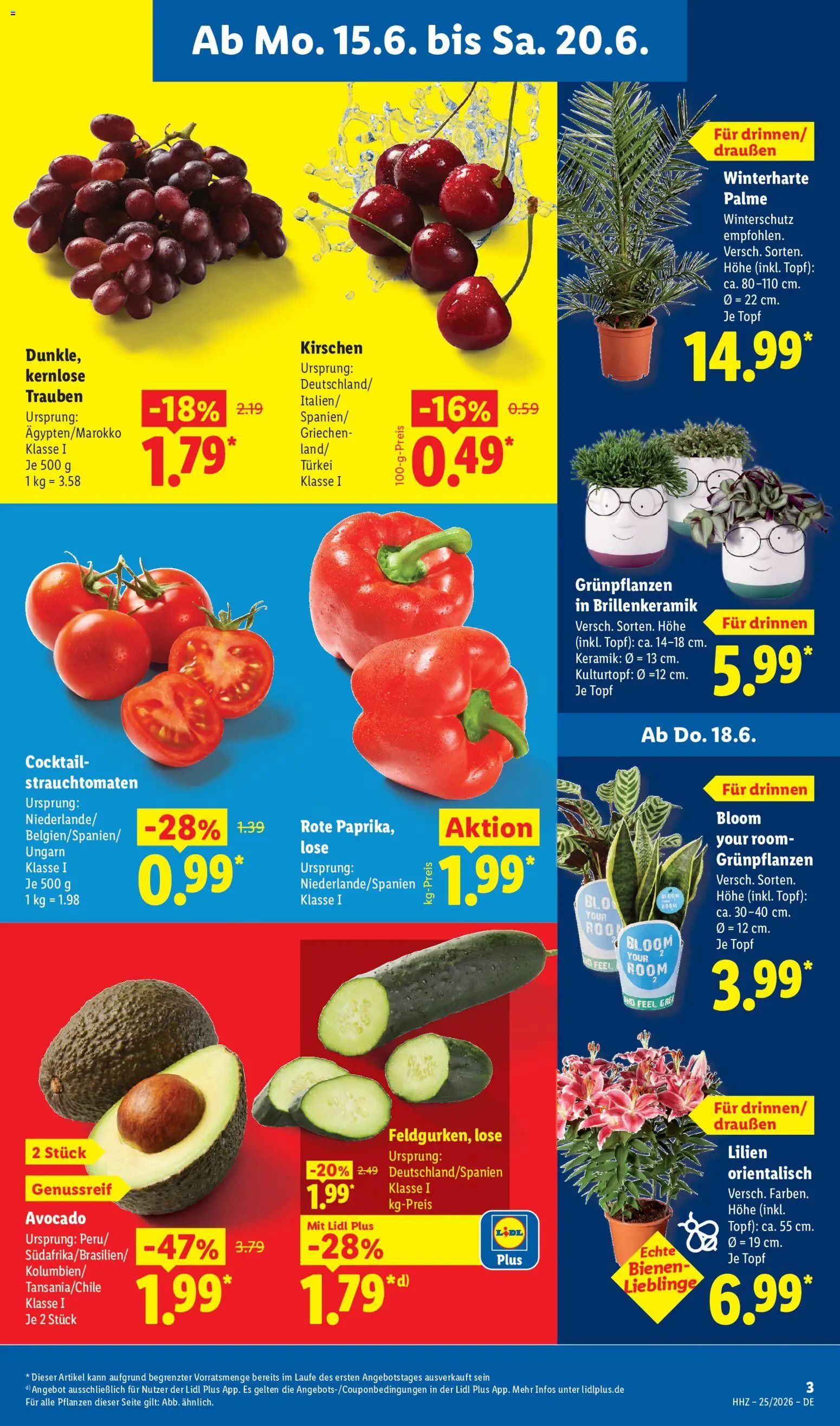 Lidl Prospekt – gültig ab 15.06.2026 | Seite: 3 | Produkte: Trauben, Kirschen, Avocado