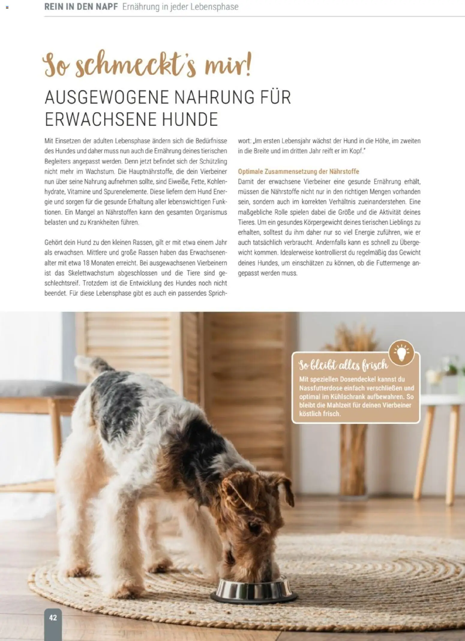 zookauf Themenkatalog Hund – gültig ab 18.05.2026 | Seite: 42 | Produkte: Gewicht, Kühlschrank