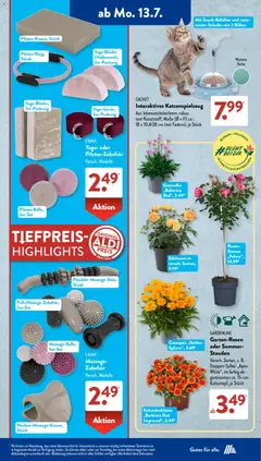 Aldi Süd Prospekt ab 13.07.2026 gültig | Seite: 12 | Produkte: Nagellack, Waschestander, PC, Toilettenpapier