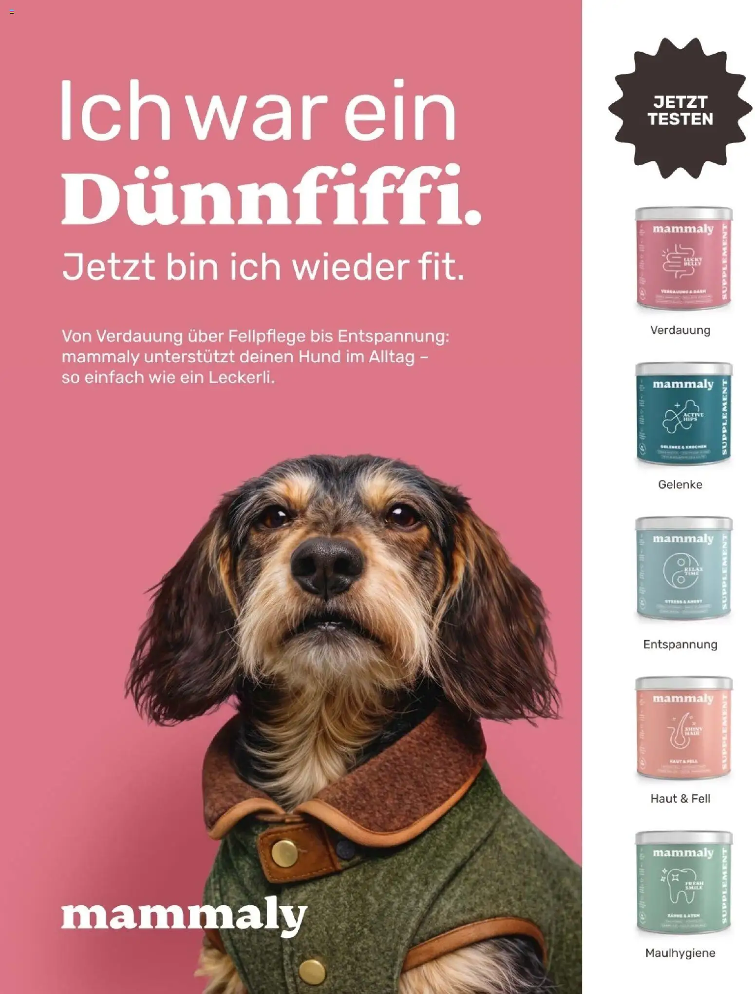 Fressnapf Friends 09,10 /26 gültig ab 01.09.2026 | Seite: 15