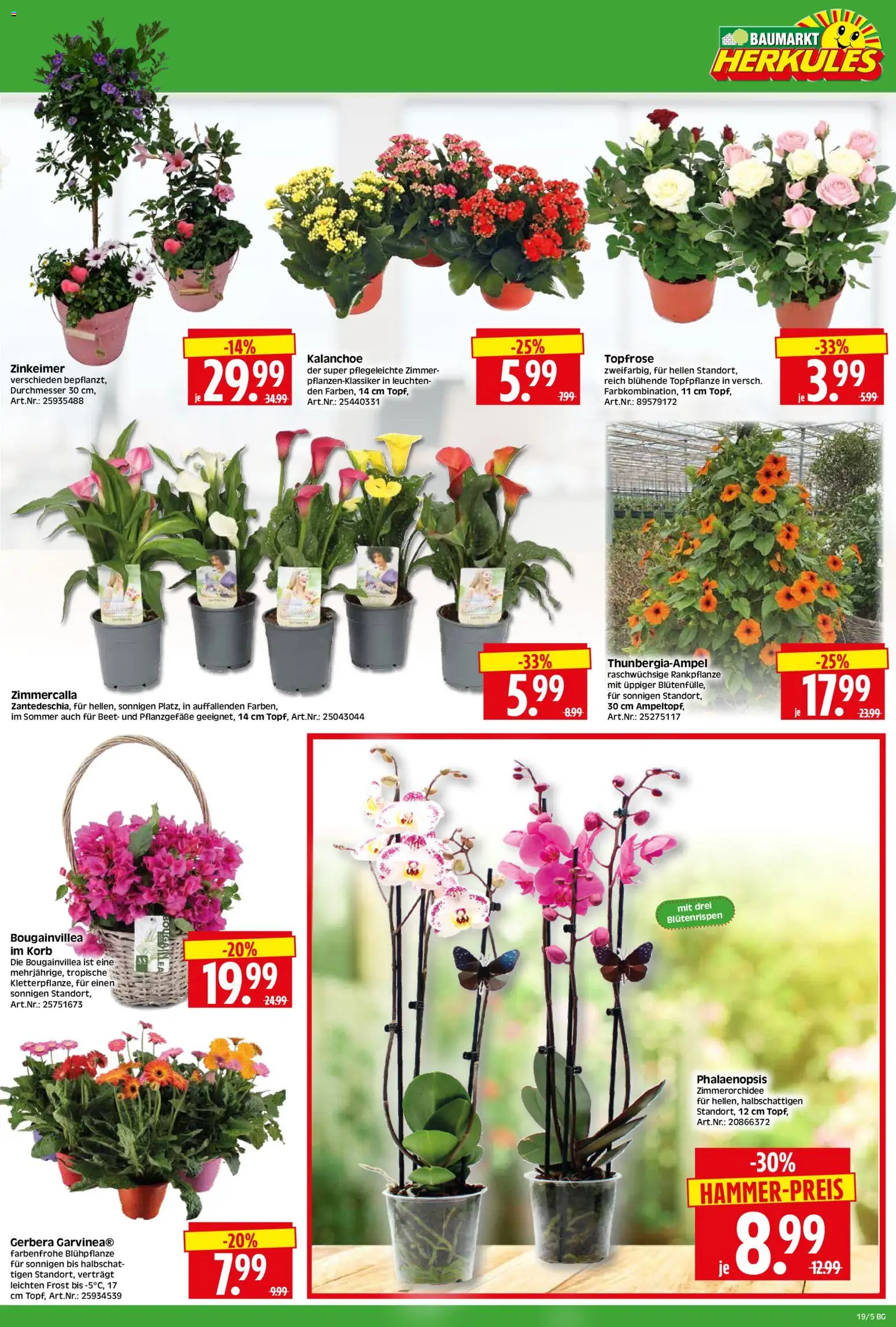 HERKULES Bau & Garten – gültig ab 04.05.2026 | Seite: 5 | Produkte: Korb