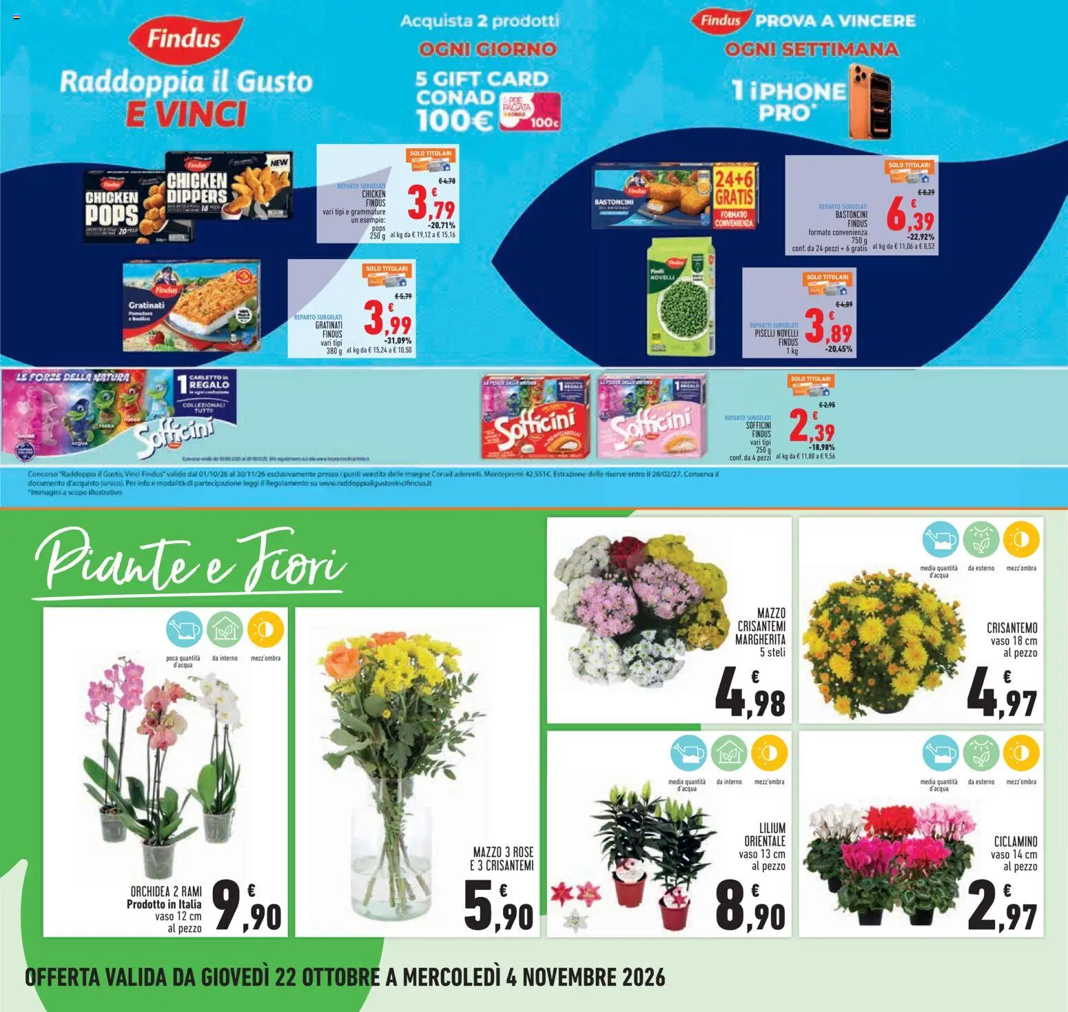 Volantino Conad del 22/10/2026 | Pagina: 24 | Prodotti: Nuggets, Fiori, Crisantemi, Vaso