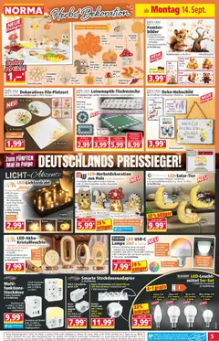 Norma Prospekt ab 14.09.2026 gültig | Seite: 5 | Produkte: Steckdose, Lampe, Bilder, Kürbis